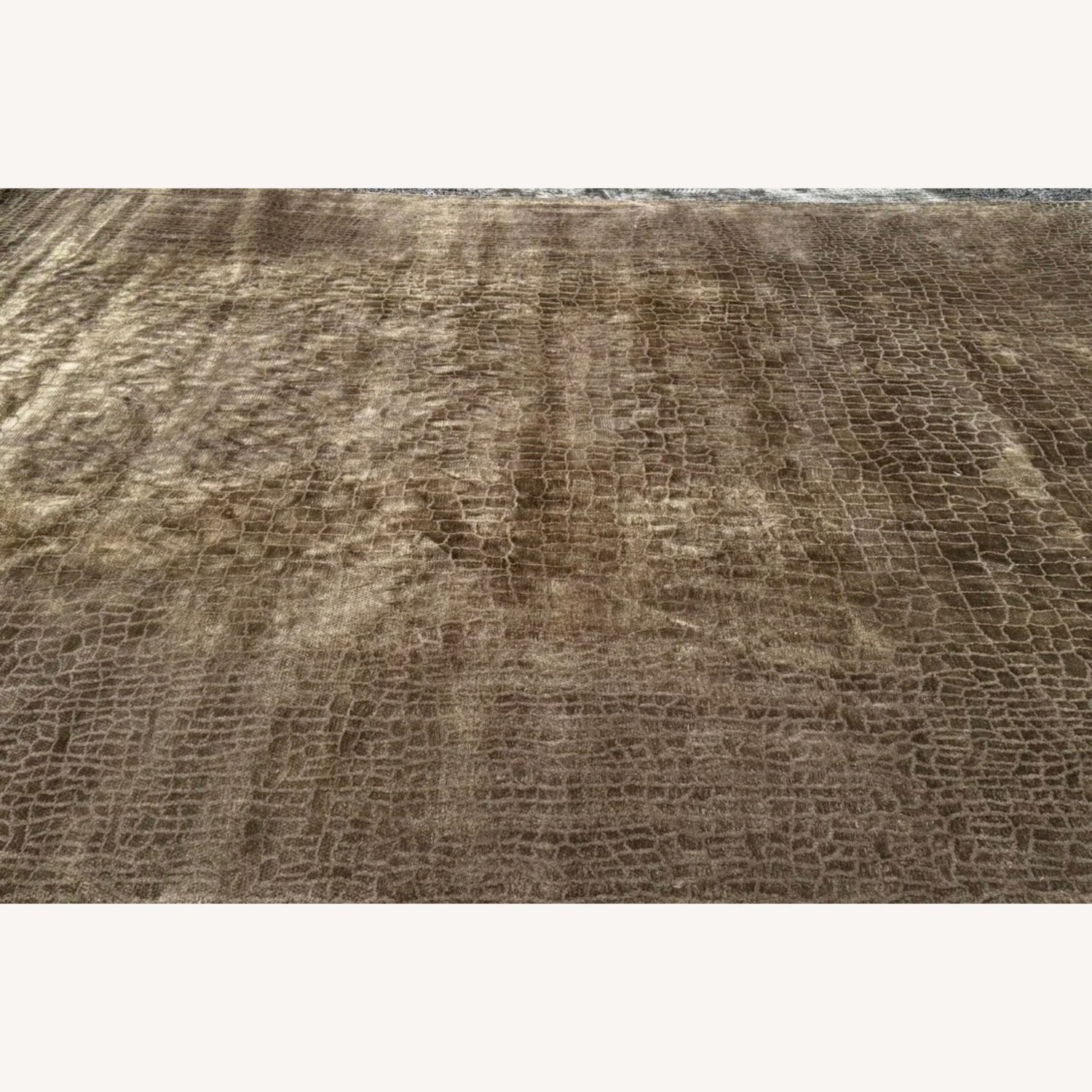 Armani Casa Tutankhamon Dark Brown Area Rug 12' x 15' - image-5