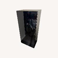 Vintage/Antique Finds Black Glass Bookcase