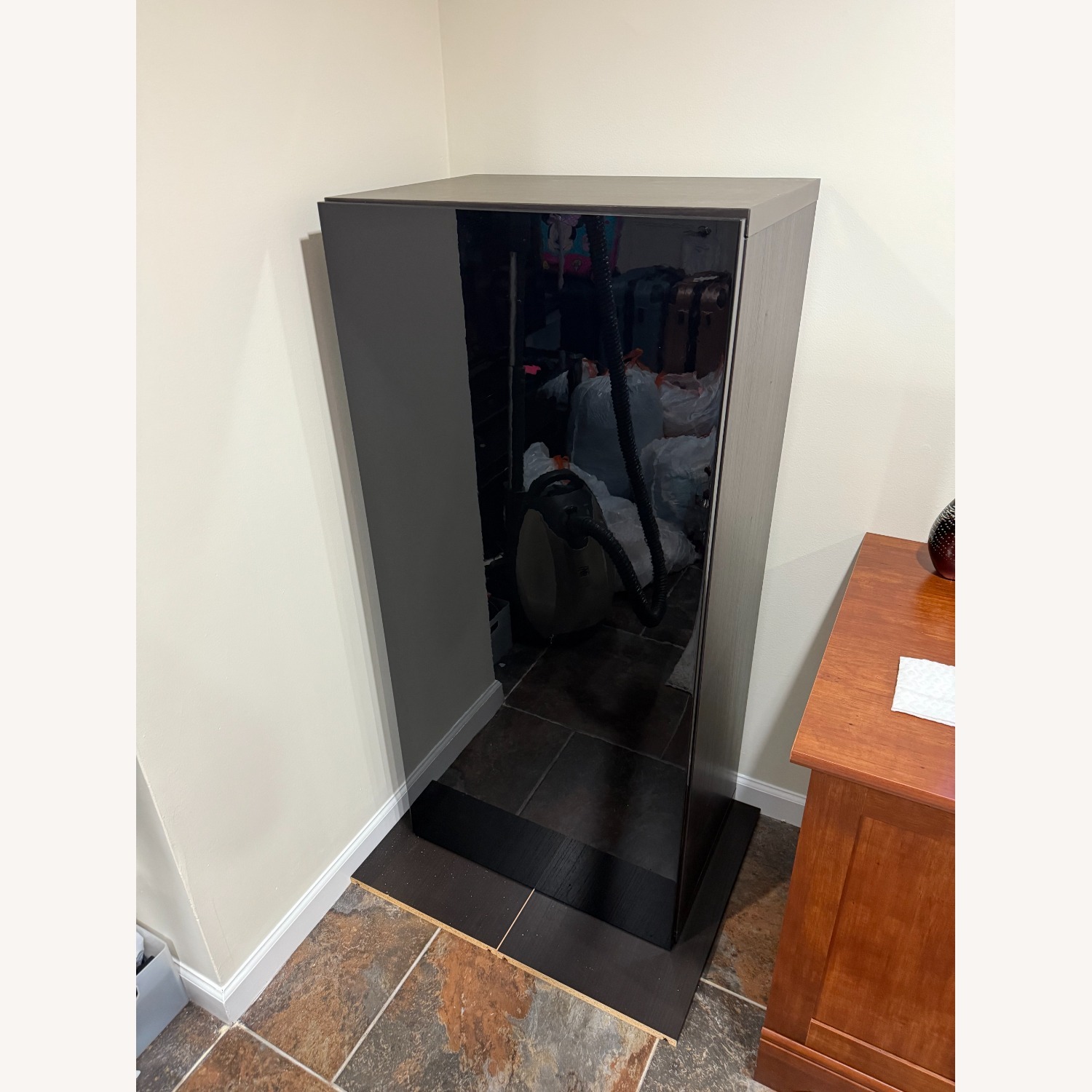 Vintage/Antique Finds Black Glass Bookcase - image-1