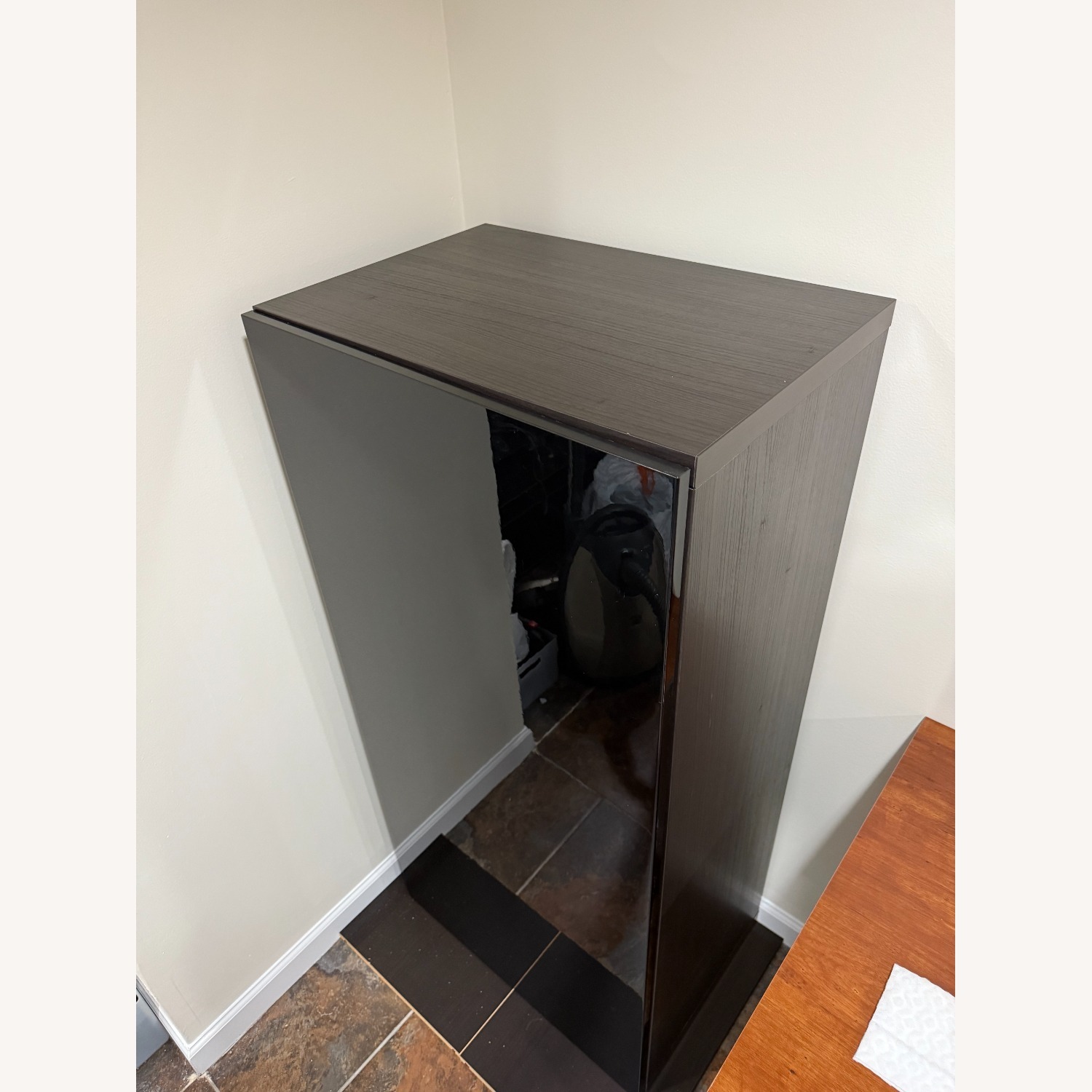 Vintage/Antique Finds Black Glass Bookcase - image-2