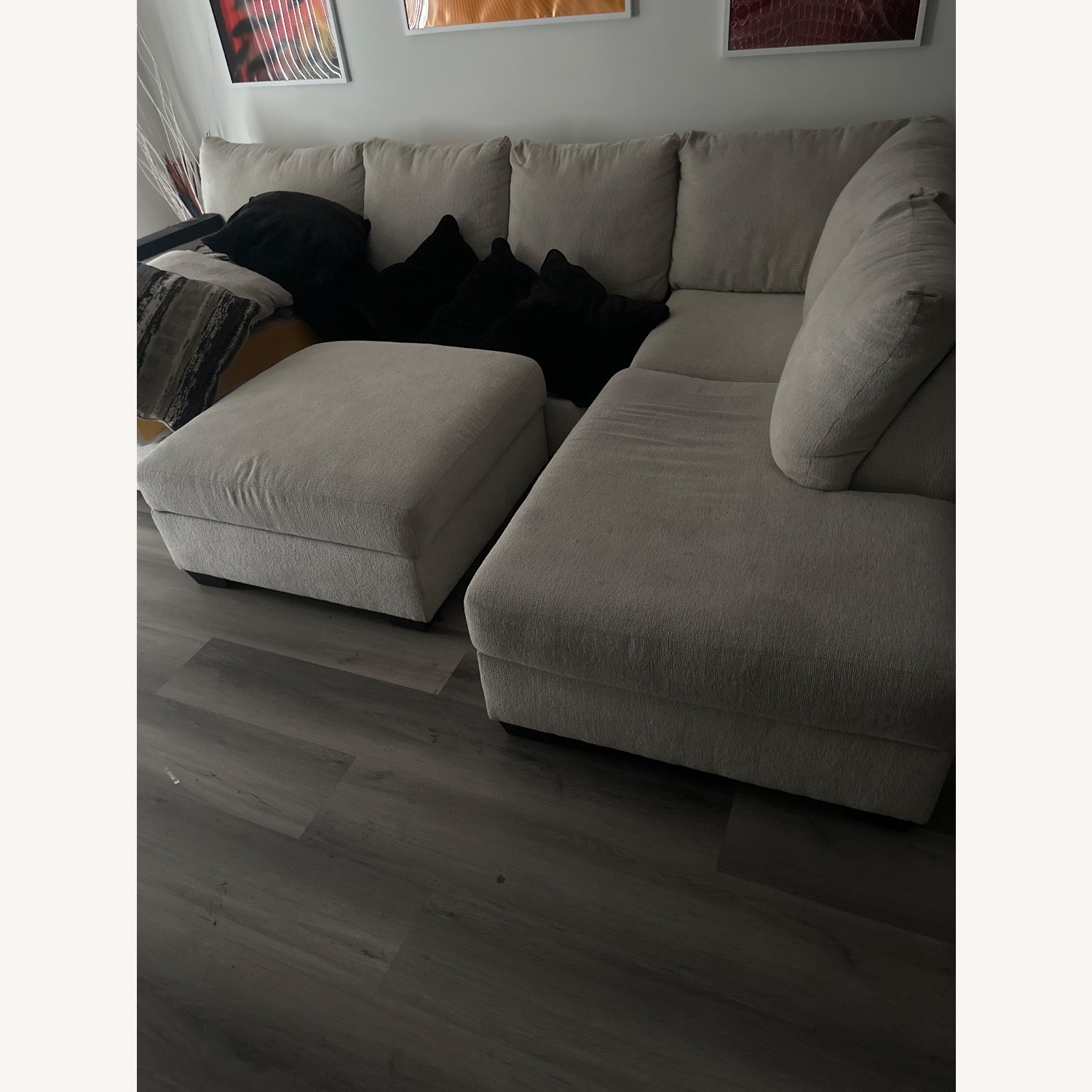 Cambri Sectional  - image-1