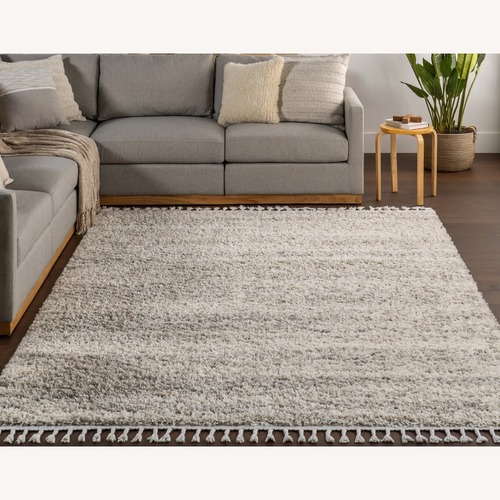 Used Rugs USA Shag Natural Area Rug 5' x 7' for sale on AptDeco