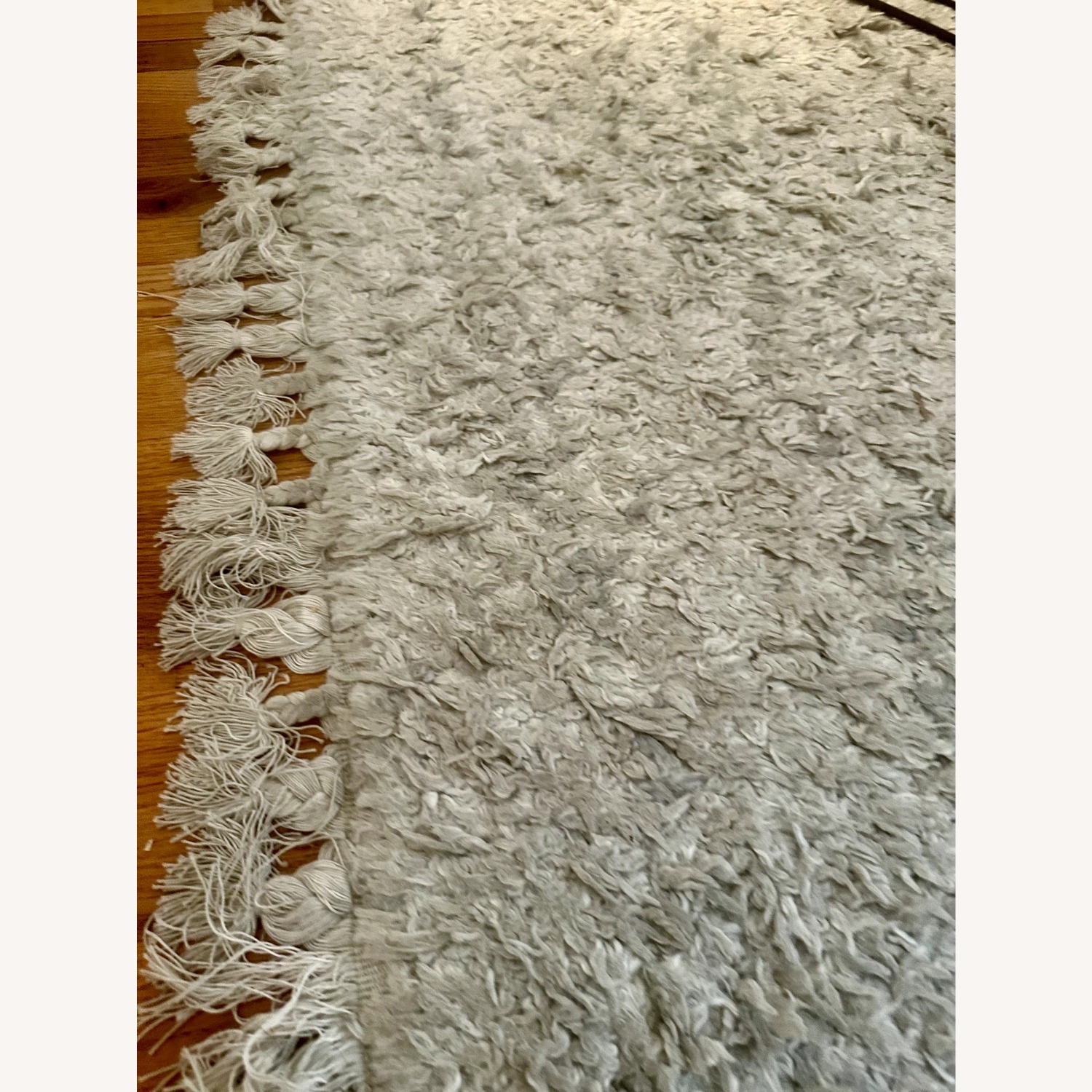 Rugs USA Shag Natural Area Rug 5' x 7' - image-4