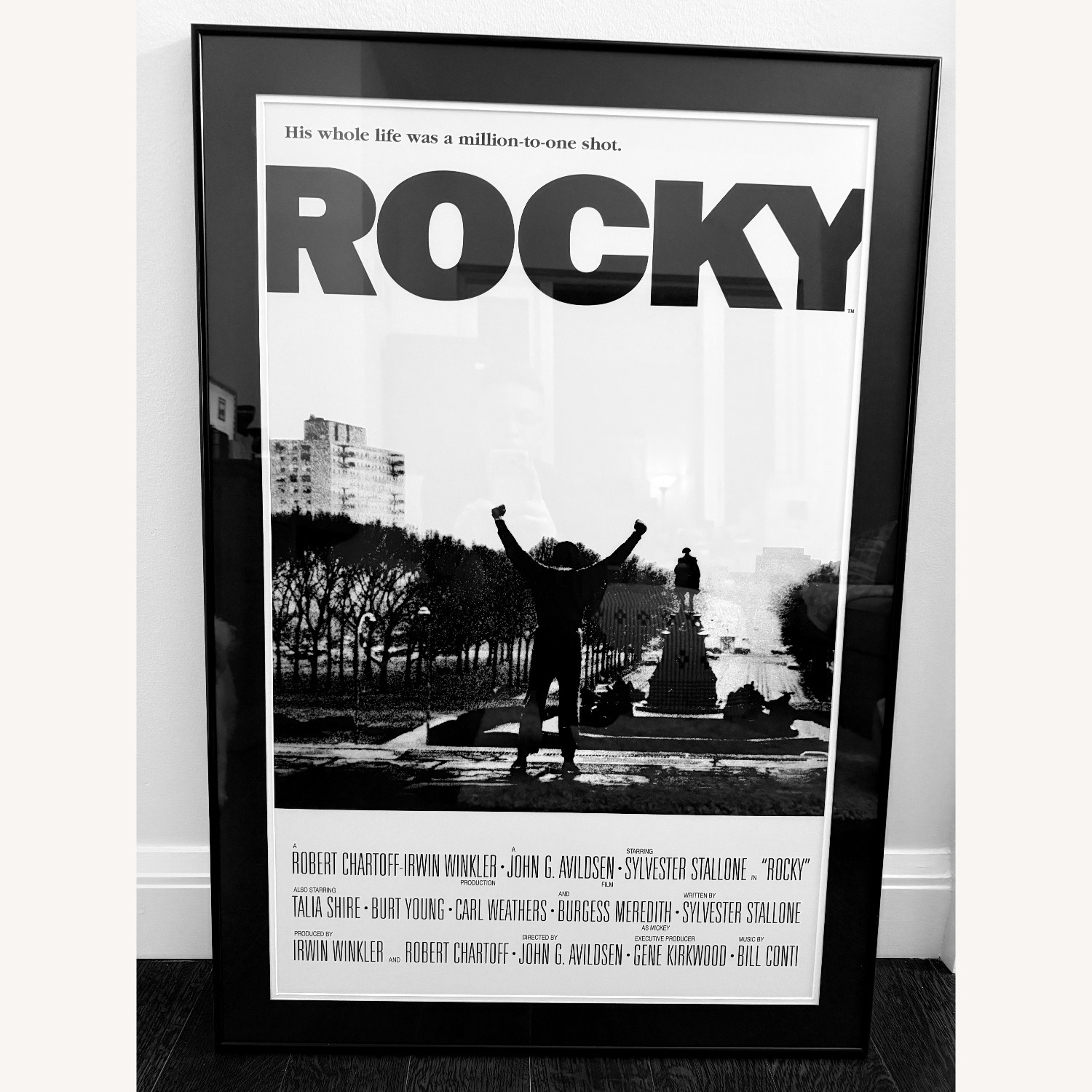 Rocky 1 Wall Art  - image-2