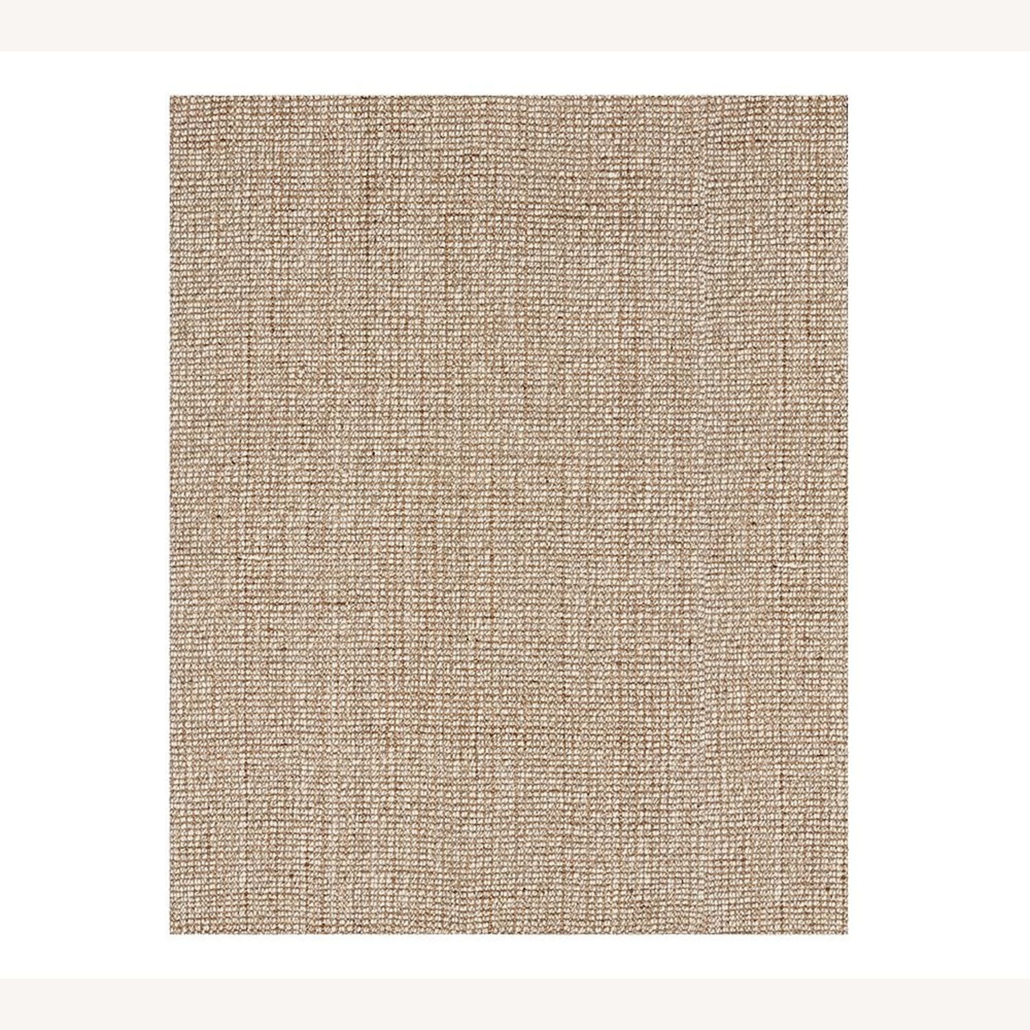 Pottery Barn Chunky Wool/Jute Rug - image-5