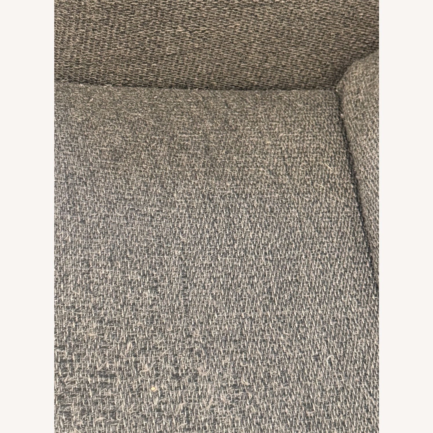 Crate & Barrel Lounge Petite Sofa - image-4