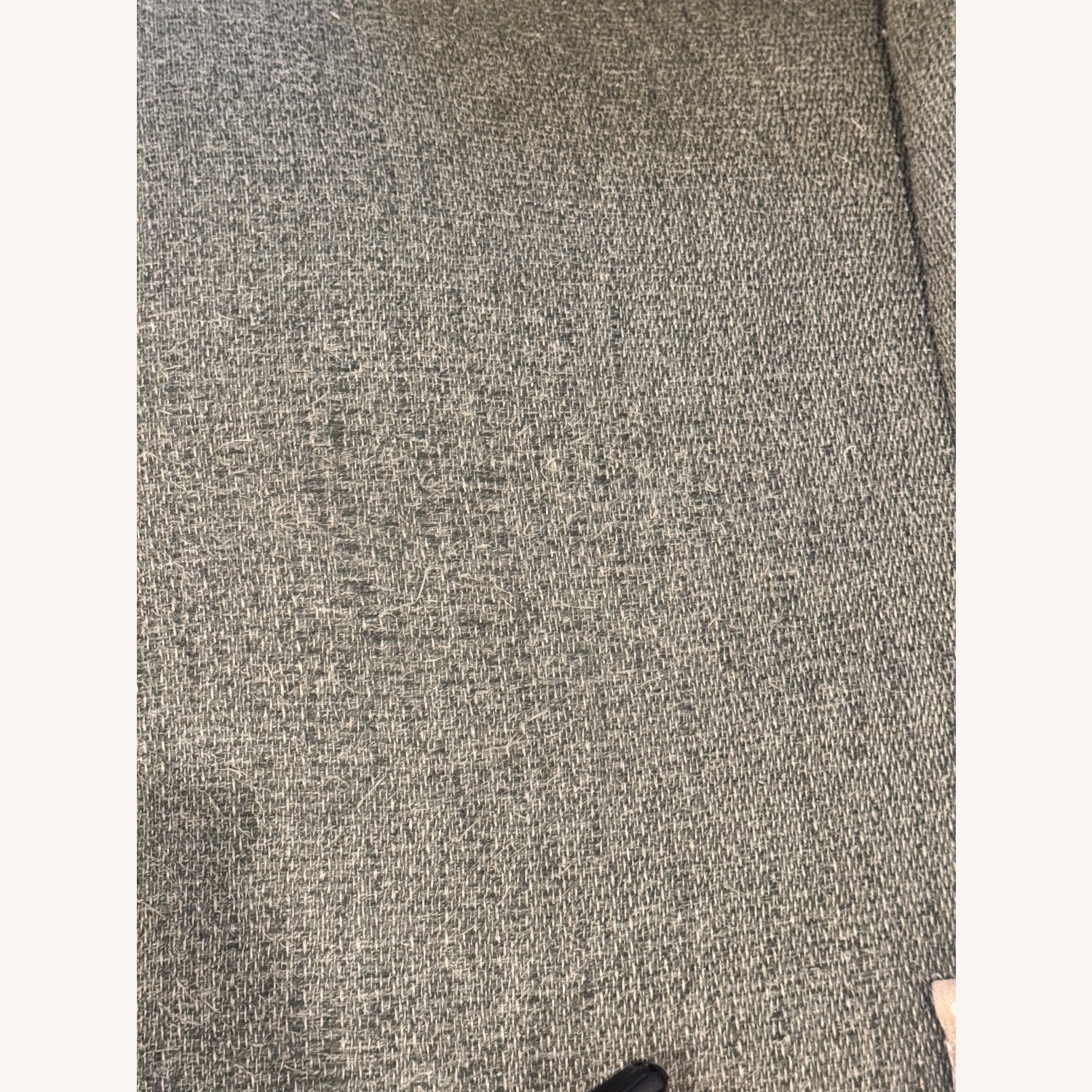 Crate & Barrel Lounge Petite Sofa - image-3