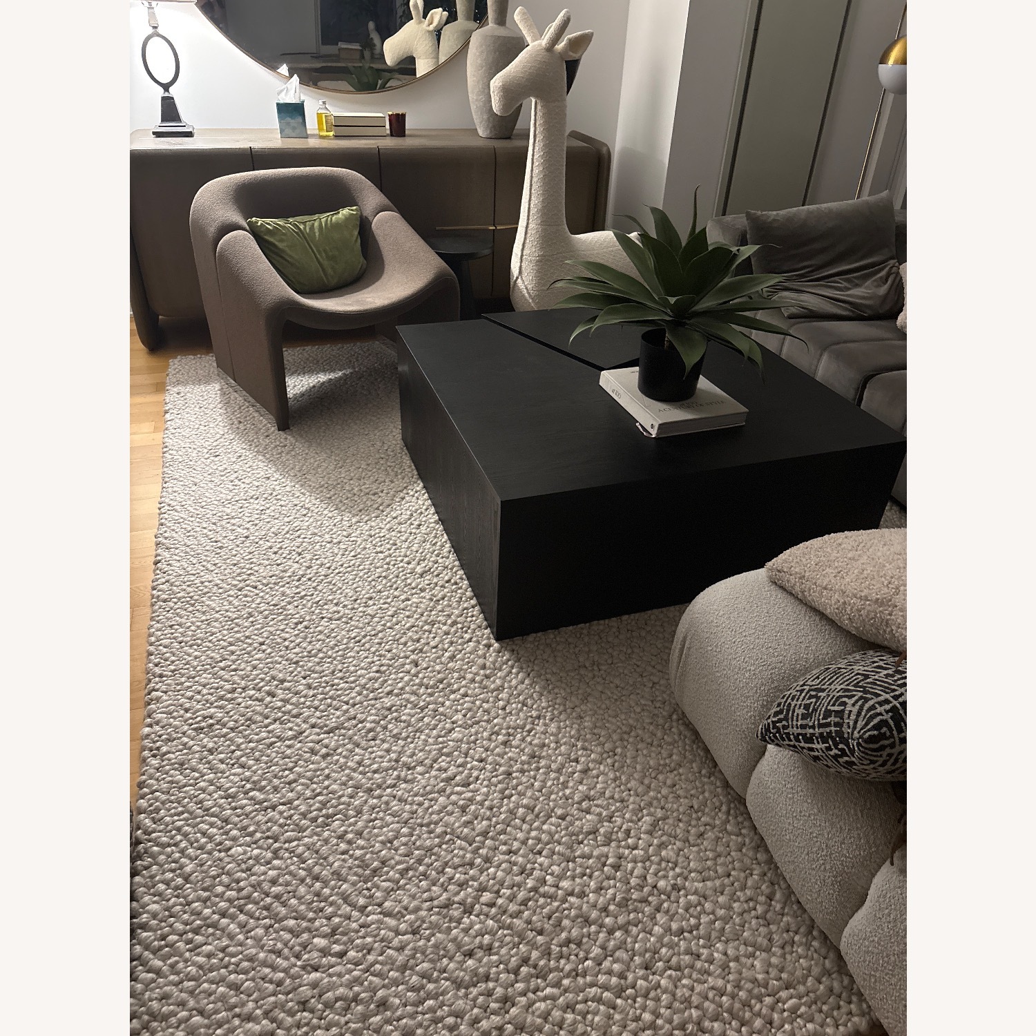 Restoration Hardware Area Rug 8' x 10' - image-1