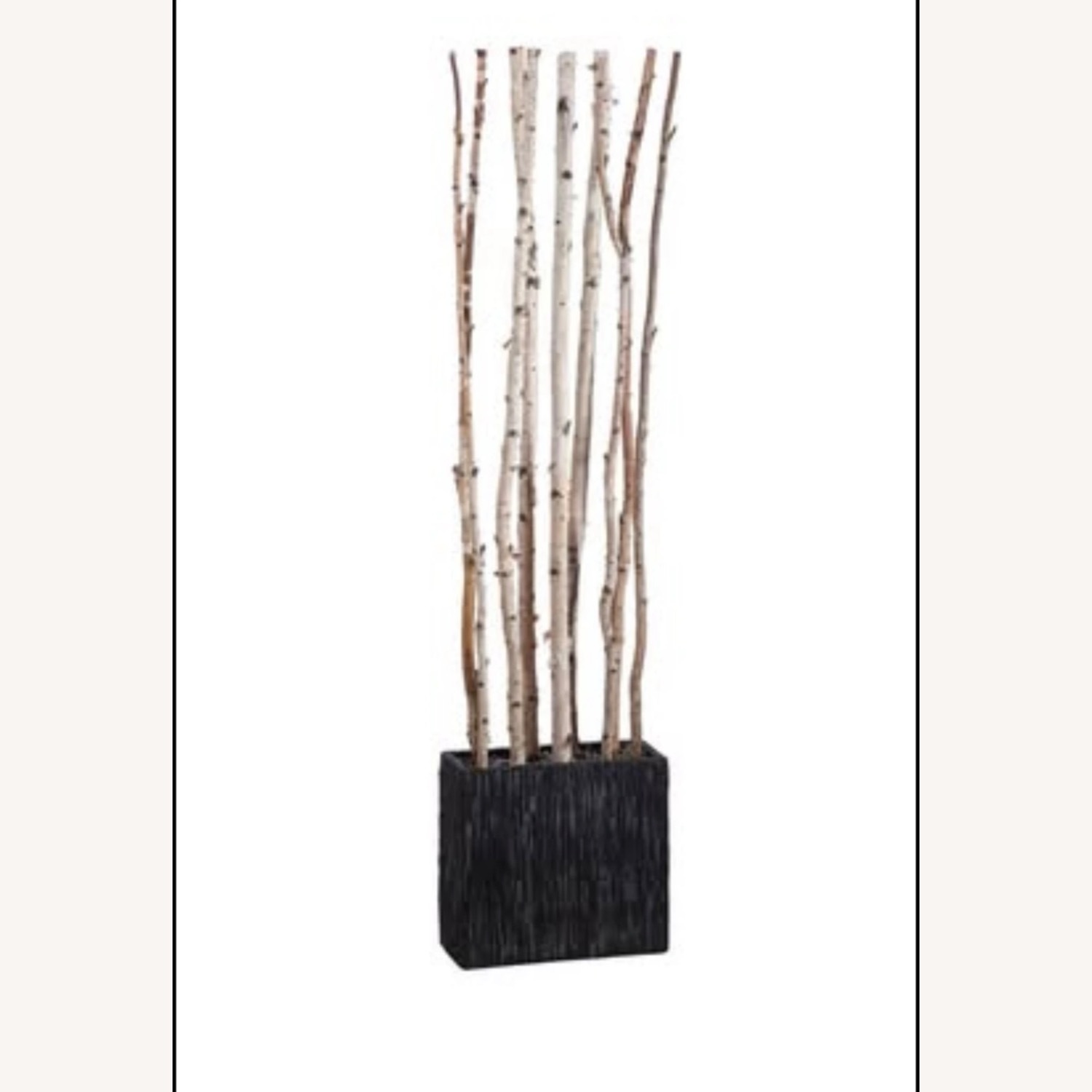 West Elm Faux Potted Birch Tree Divider - image-3
