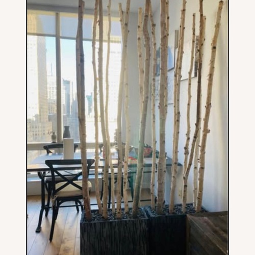 Used West Elm Faux Potted Birch Tree Divider for sale on AptDeco