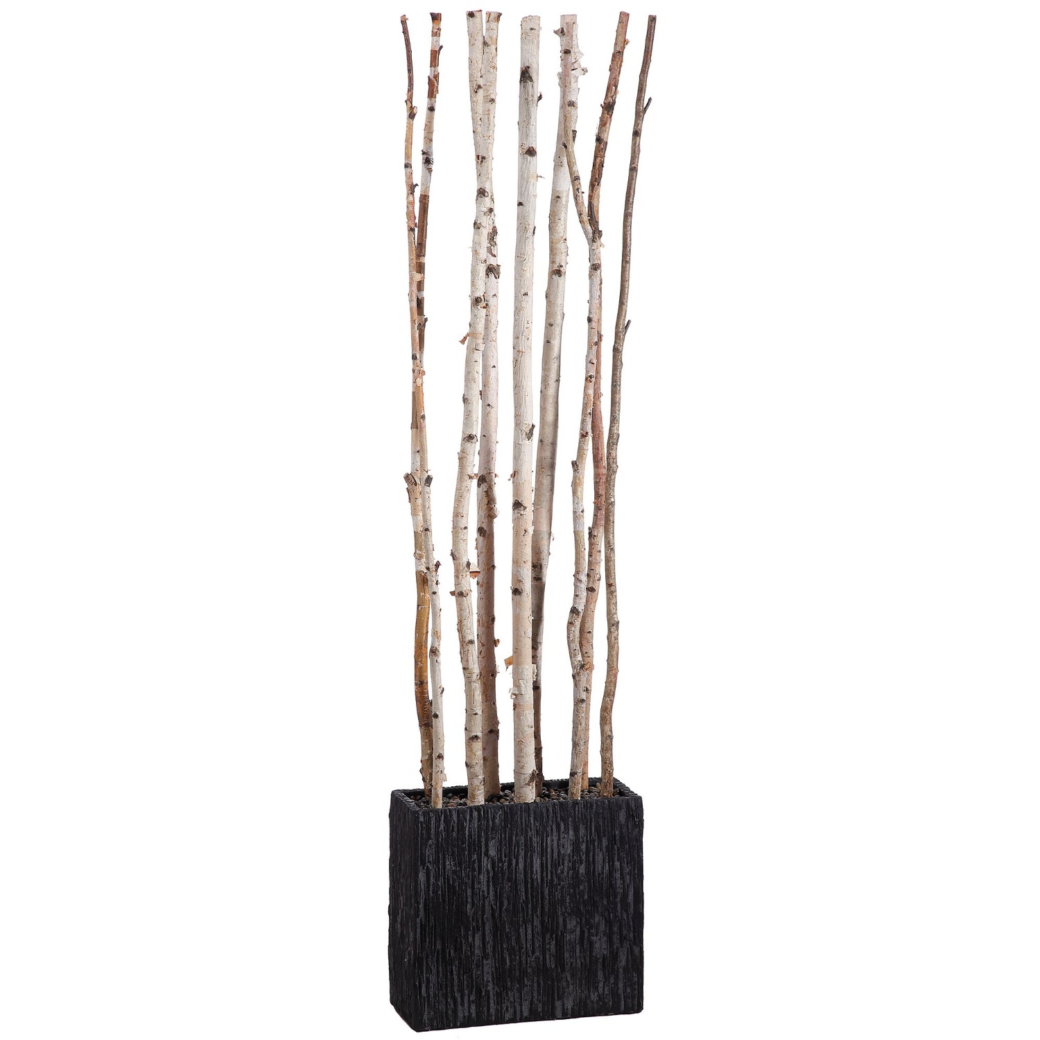 West Elm Faux Potted Birch Tree Divider - image-4