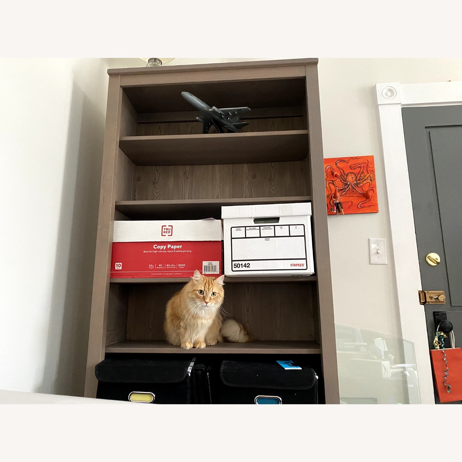 IKEA Billy Bookcase - image-3