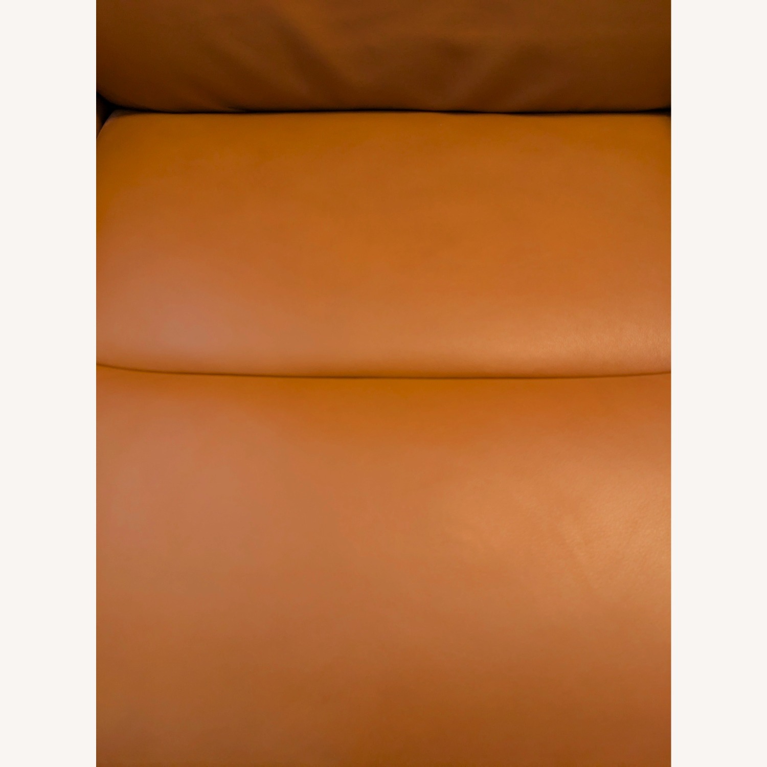 Stressless Max (M) Power Recliner – Paloma Leather - image-6