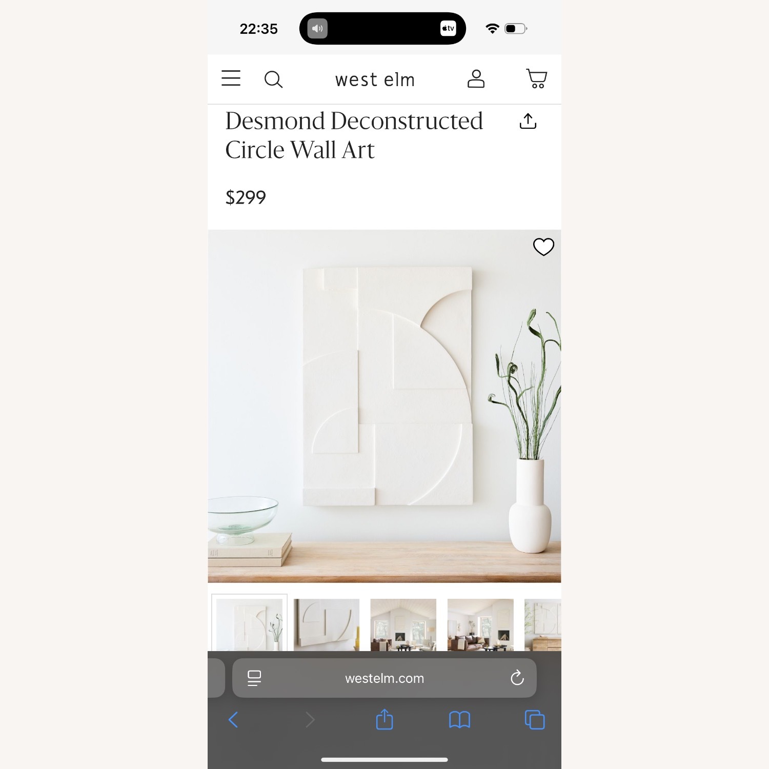 West Elm Papier Mache Wall Art - image-3