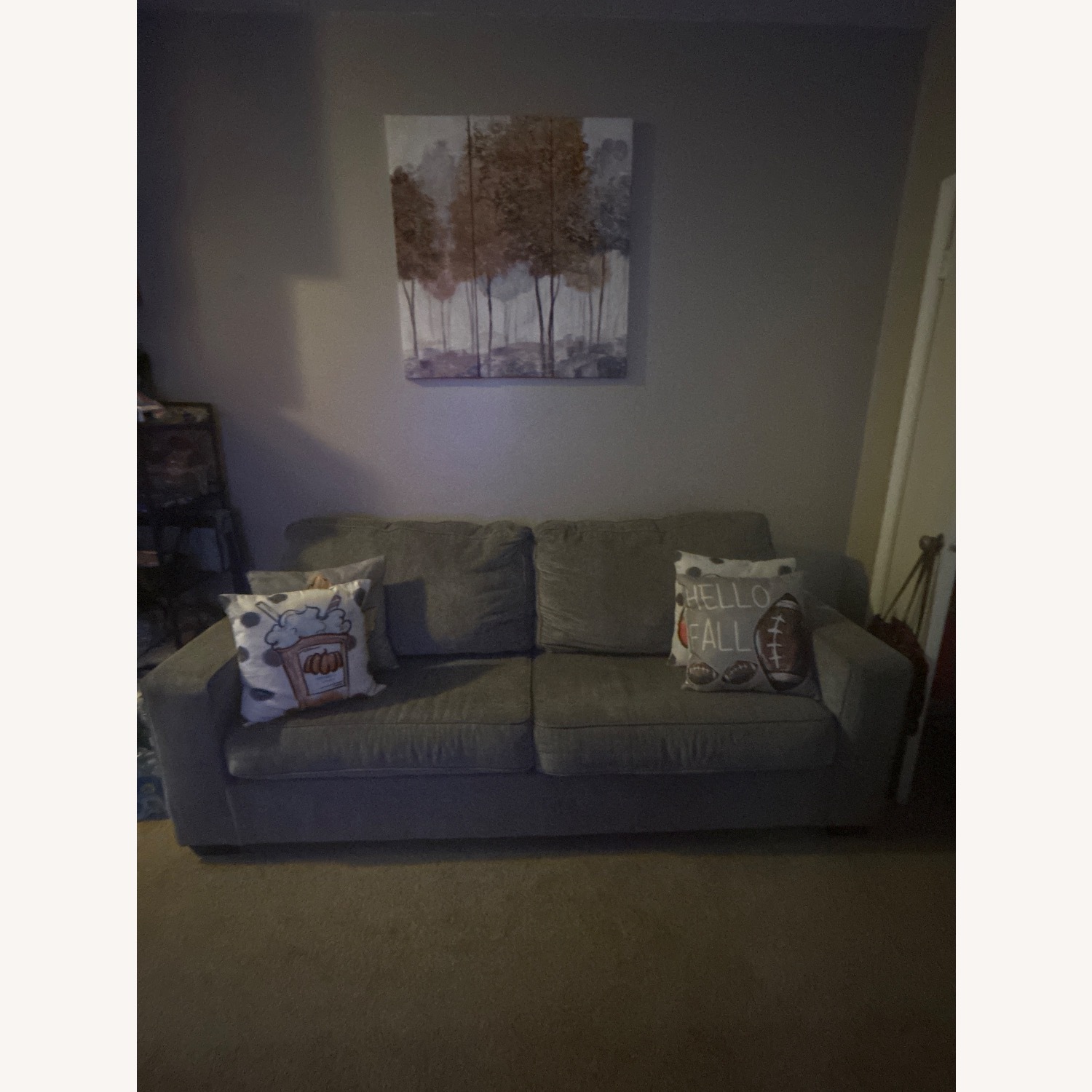 Light Gray Sleeper Sofa - image-1