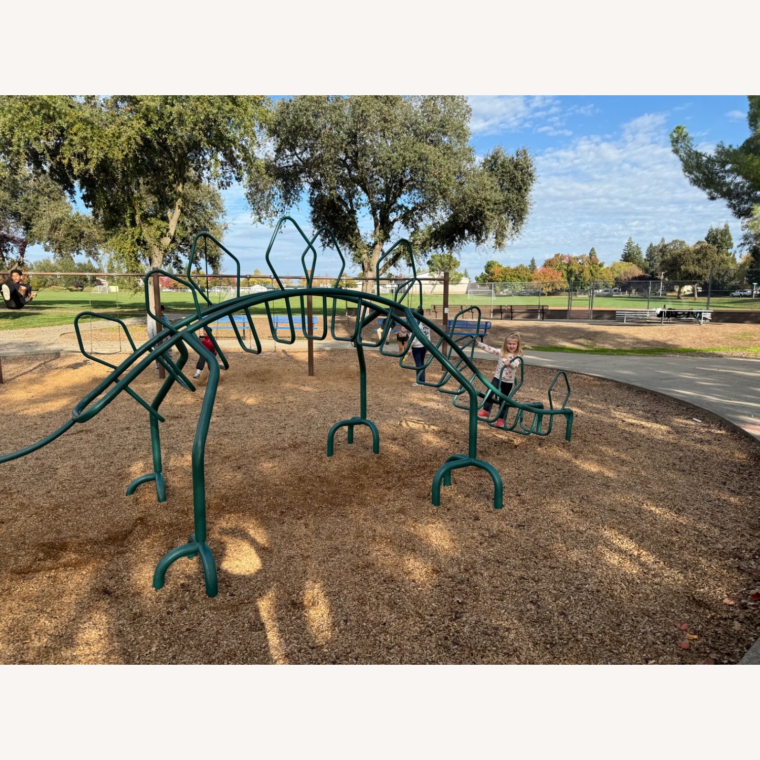 Large Dome Light Pendant - image-4