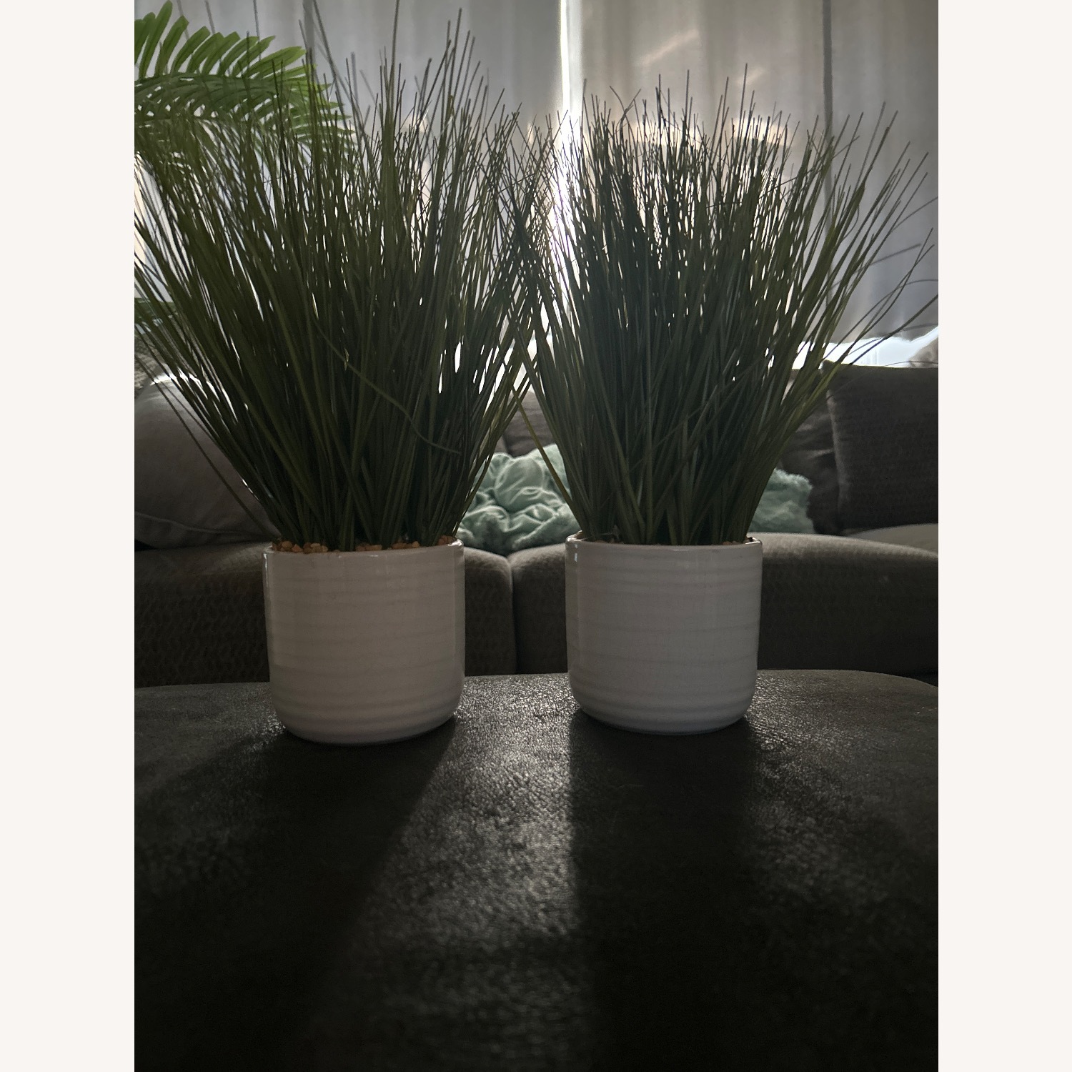 Fake Grass Plant for Inside Decor - image-1