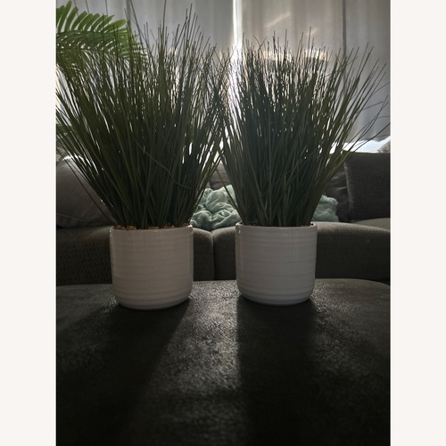 Used Fake Grass Plant for Inside Decor for sale on AptDeco