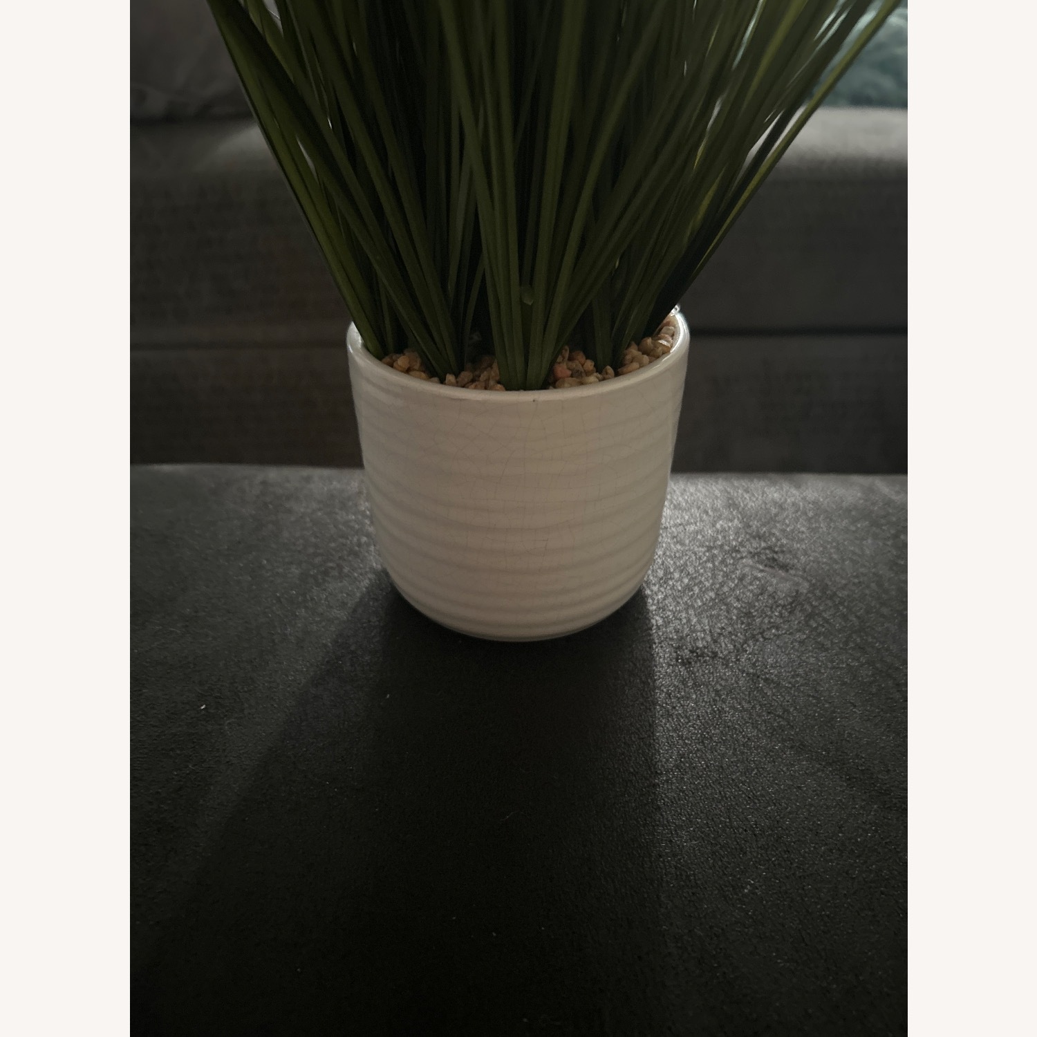 Fake Grass Plant for Inside Decor - image-3