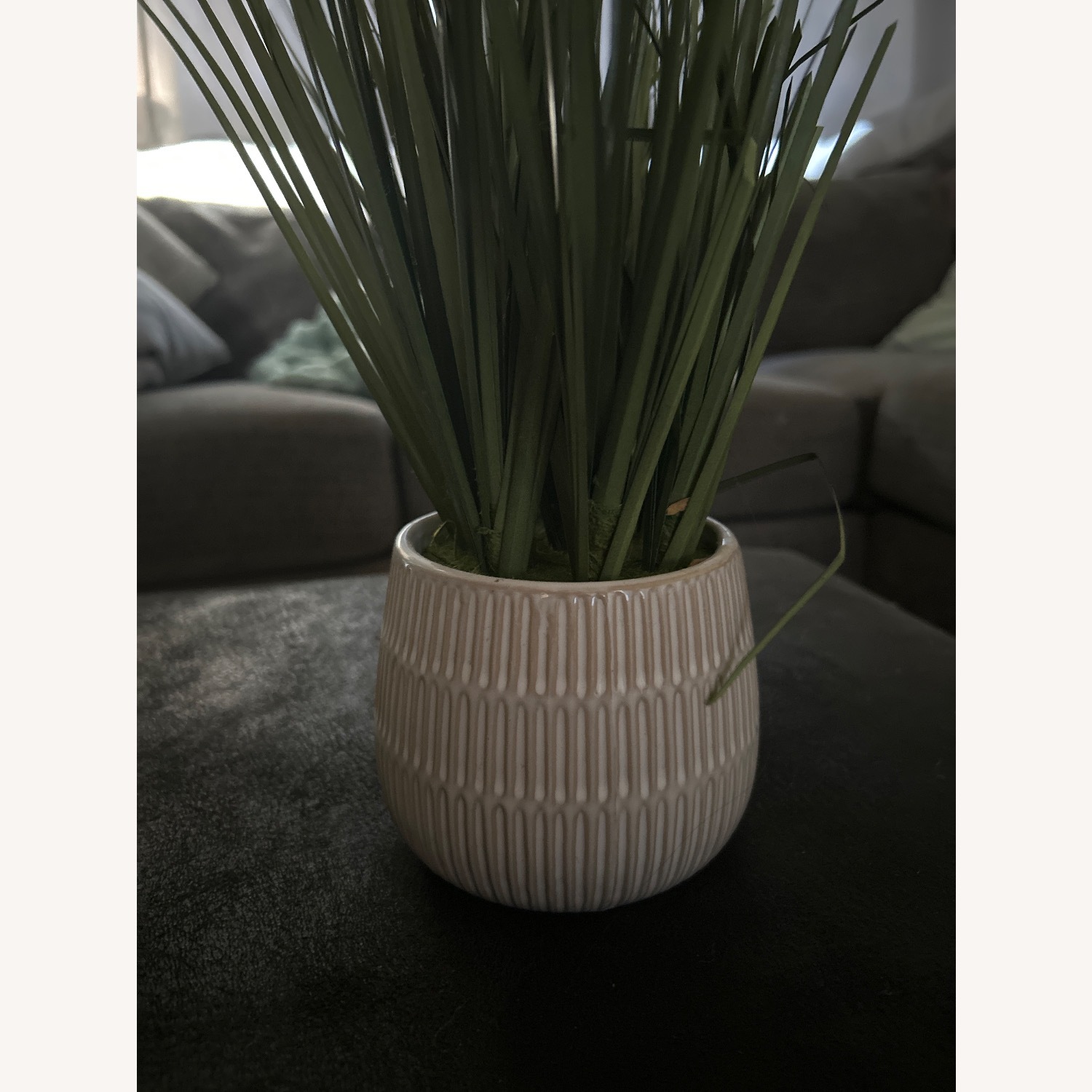 White Décor - image-3