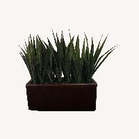 Dark Brown Plastic Décor