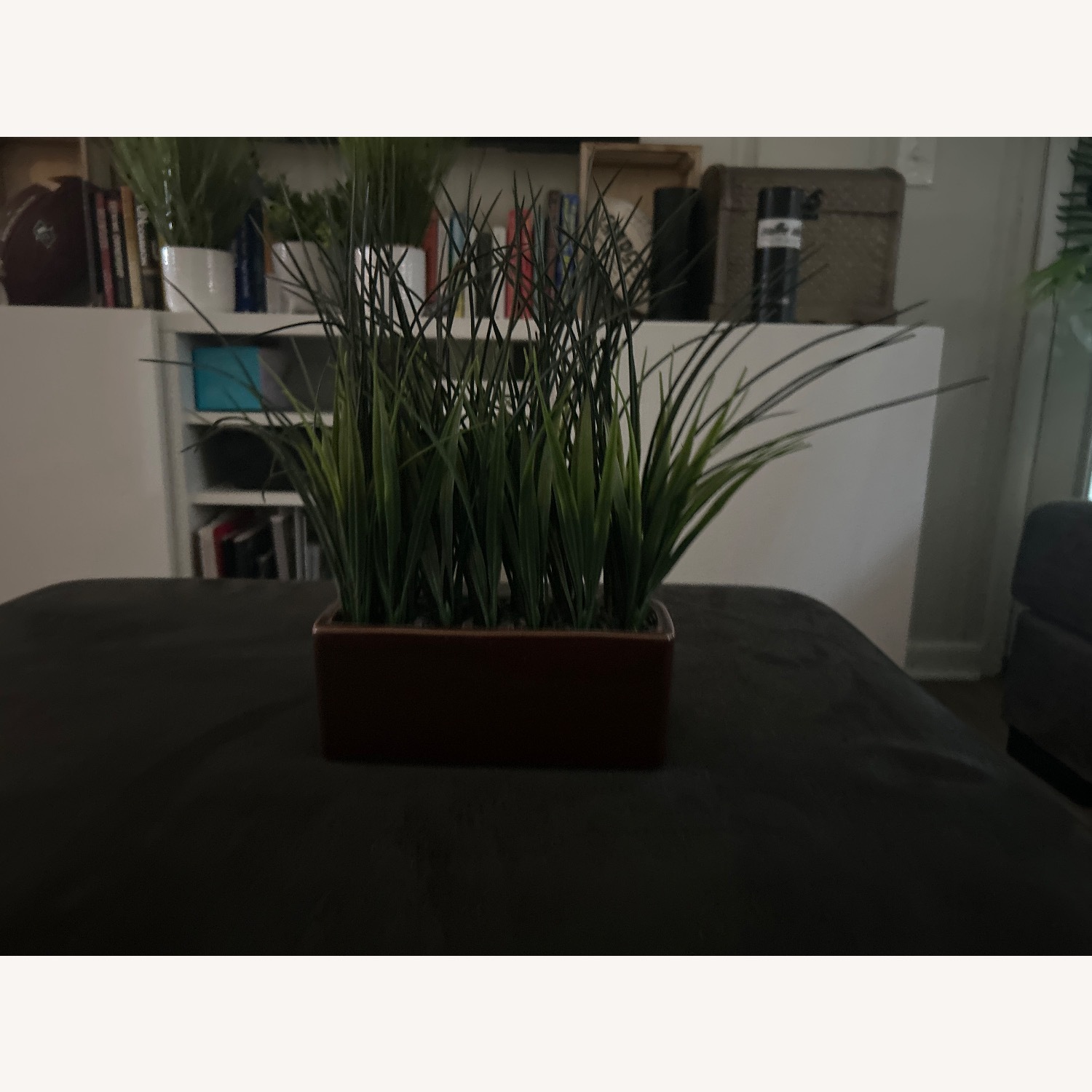 Dark Brown Plastic Décor - image-2