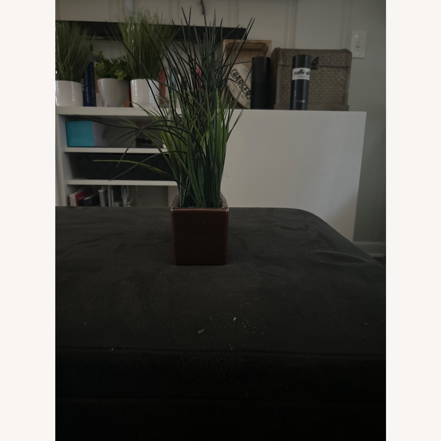 Dark Brown Plastic Décor - image-3