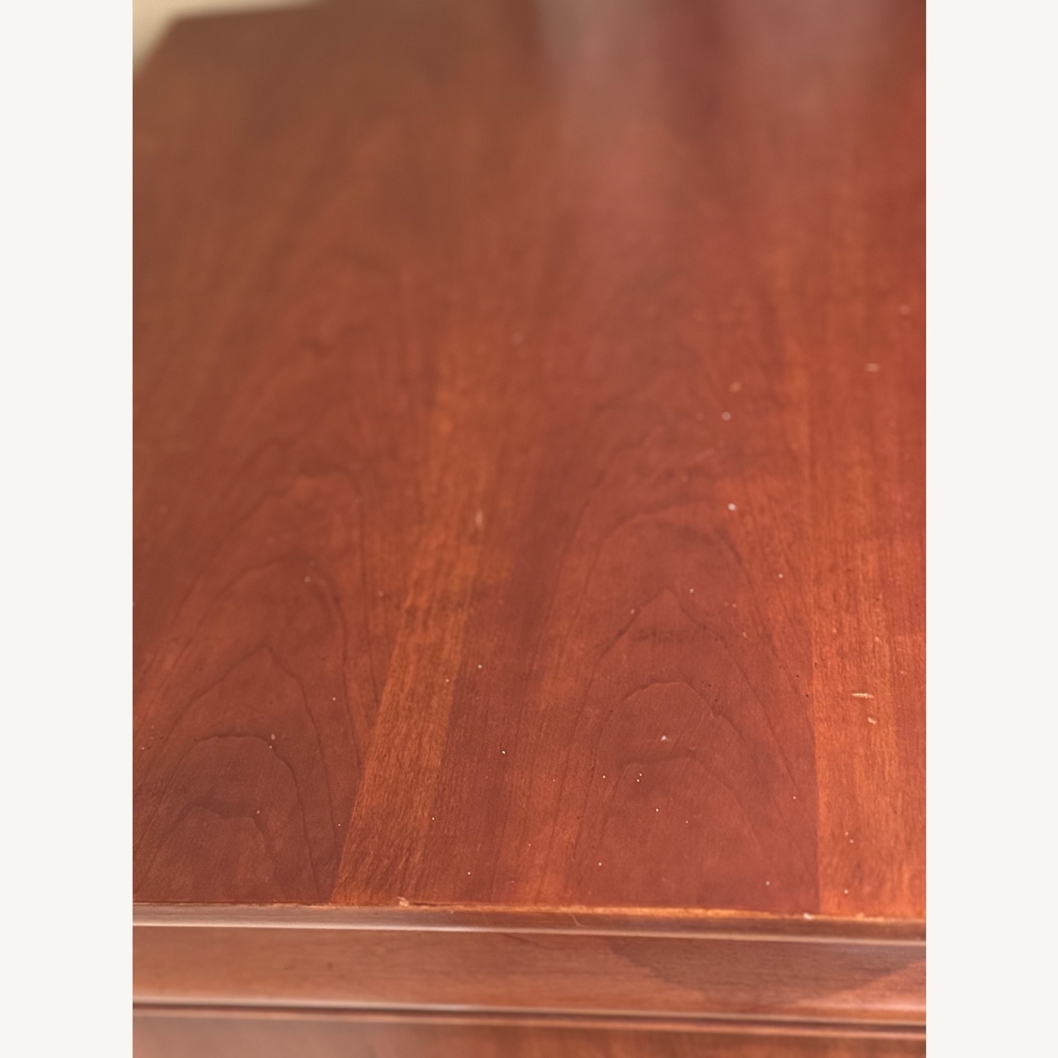 Lexington Chez Michelle - image-4