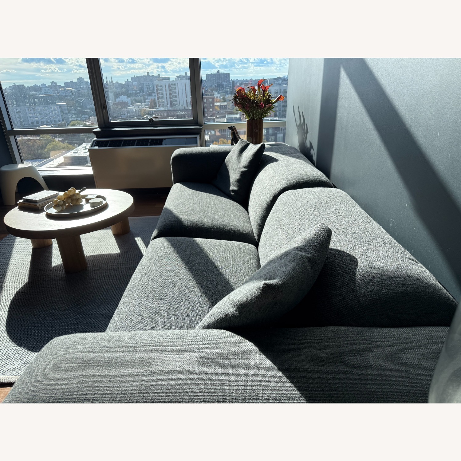 DWR Kelston 115" Sofa  - image-8