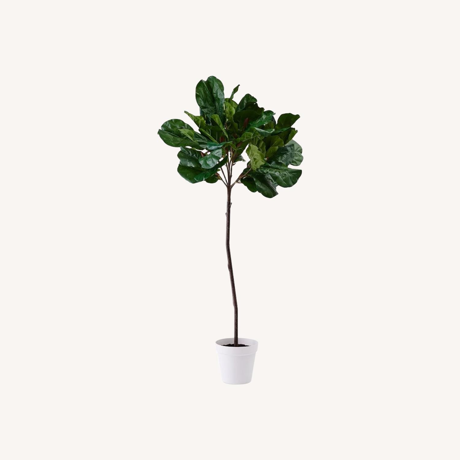 West Elm Faux Fiddle Leaf Fig Tree - image-5