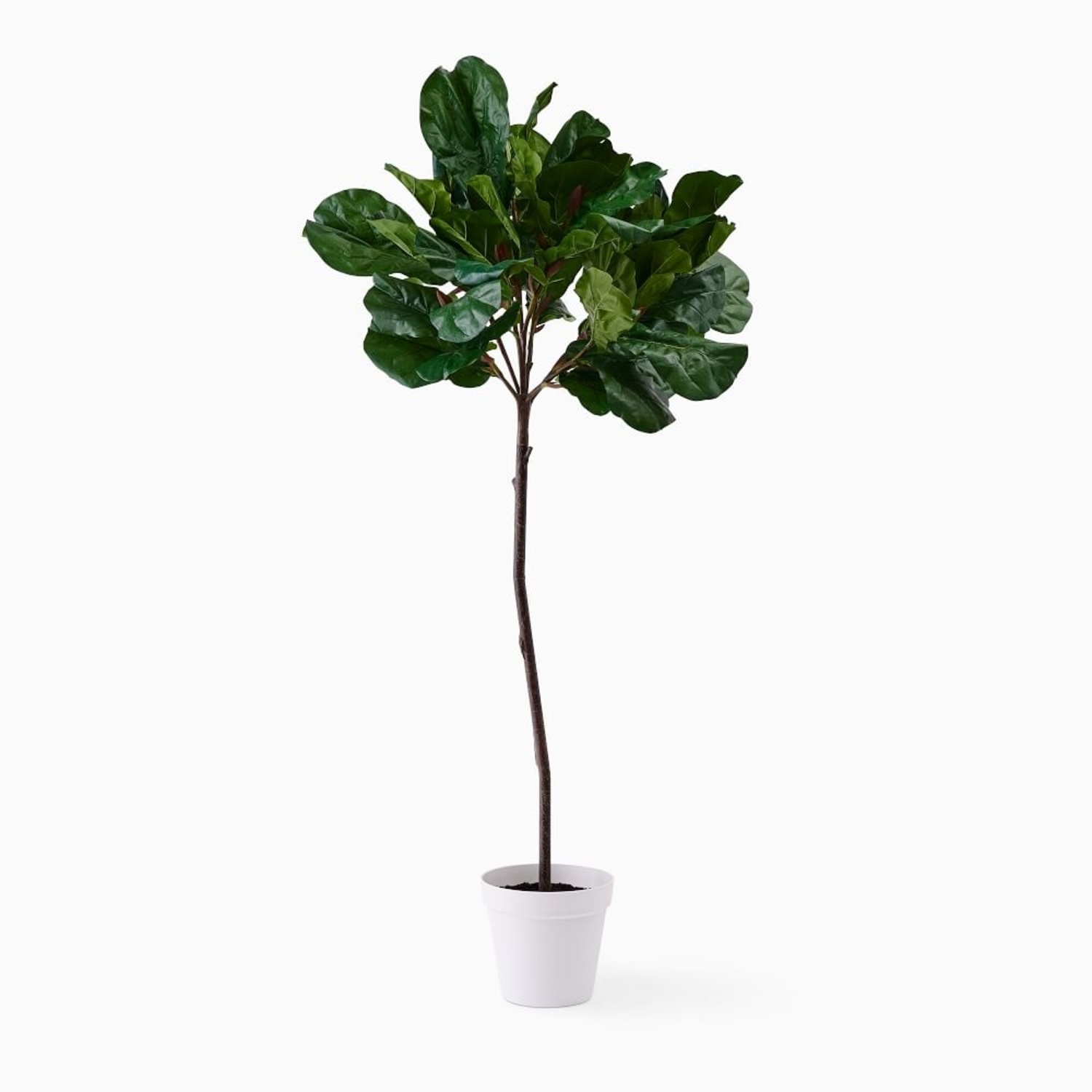 West Elm Faux Fiddle Leaf Fig Tree - image-4