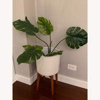 West Elm Faux Potted Monstera Plant