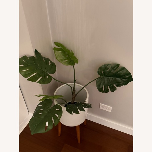 Used West Elm Faux Potted Monstera Plant for sale on AptDeco