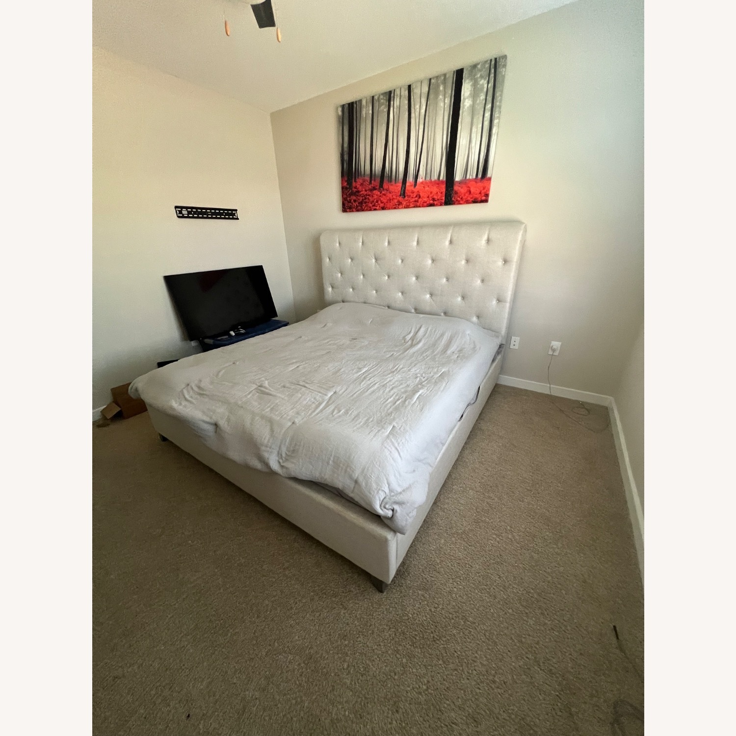 Light Gray Fabric King Bed - image-3