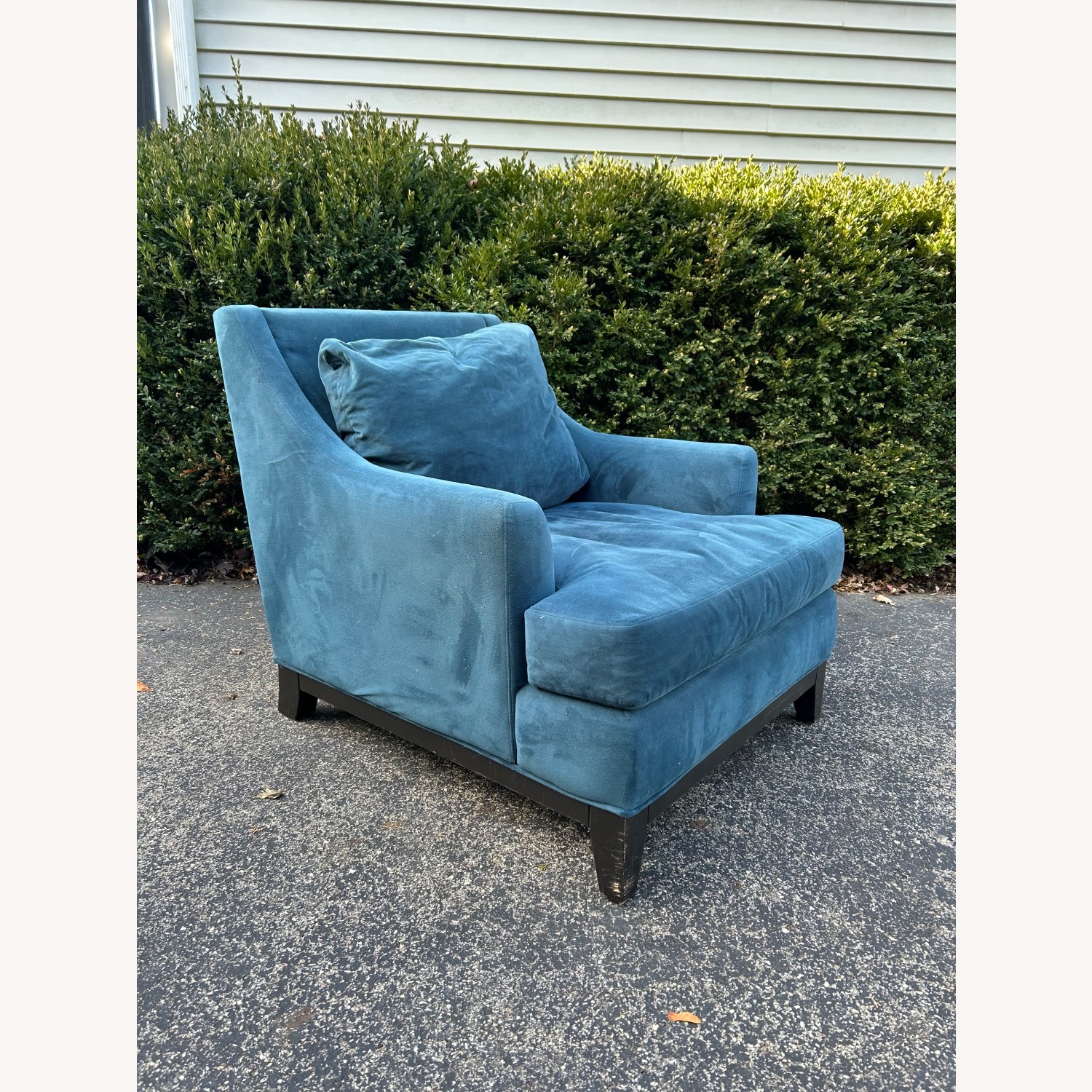 Johnathan Louis  Velvet Chair plus Ottoman - image-4