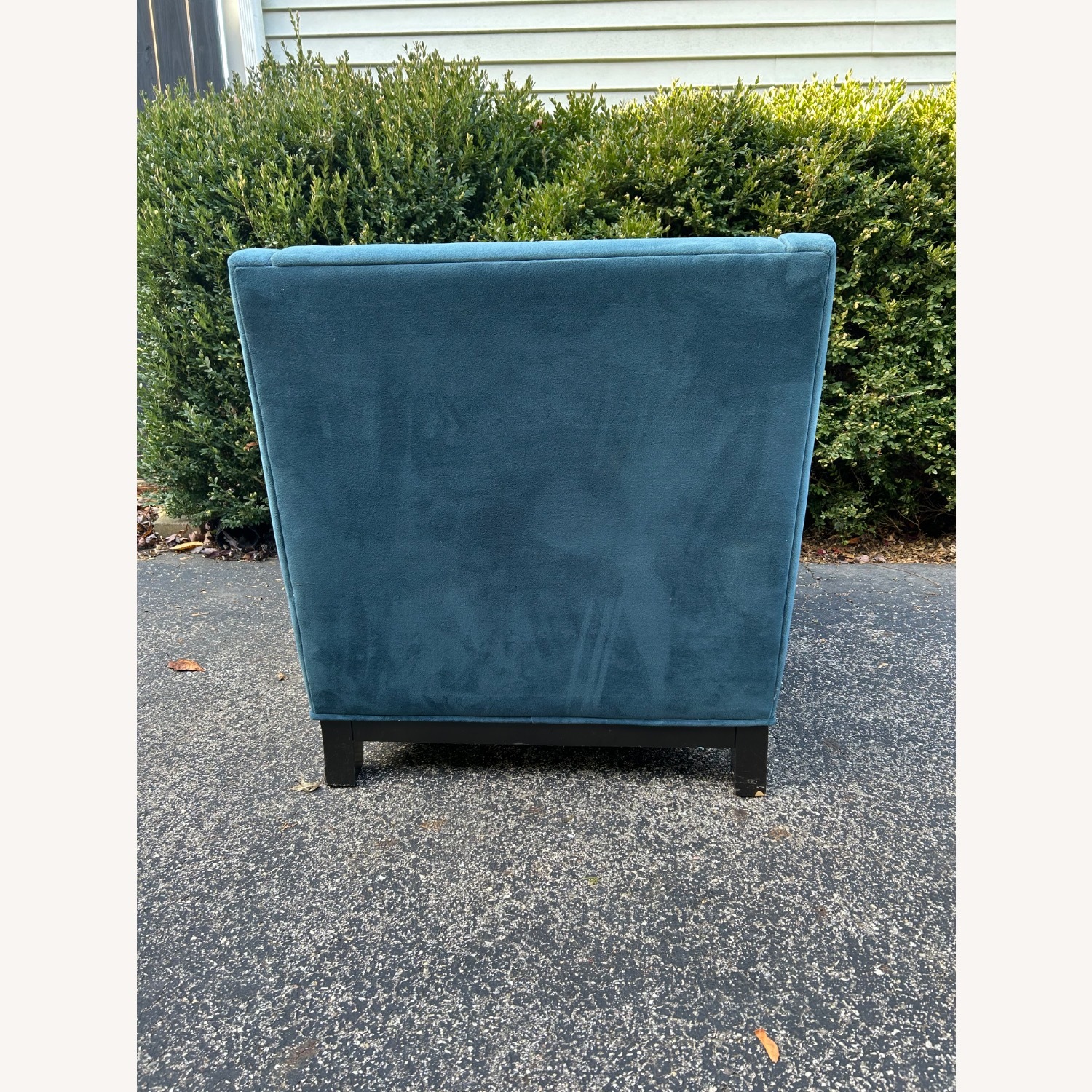 Johnathan Louis  Velvet Chair plus Ottoman - image-3