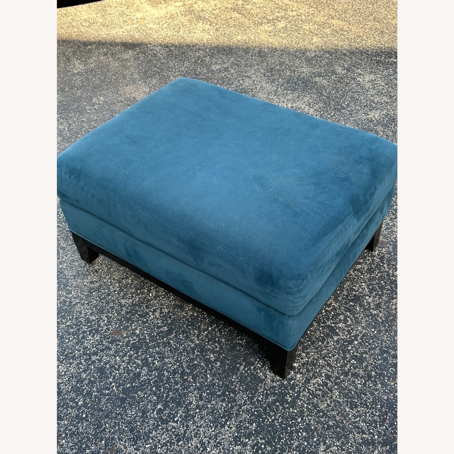 Johnathan Louis  Velvet Chair plus Ottoman - image-8