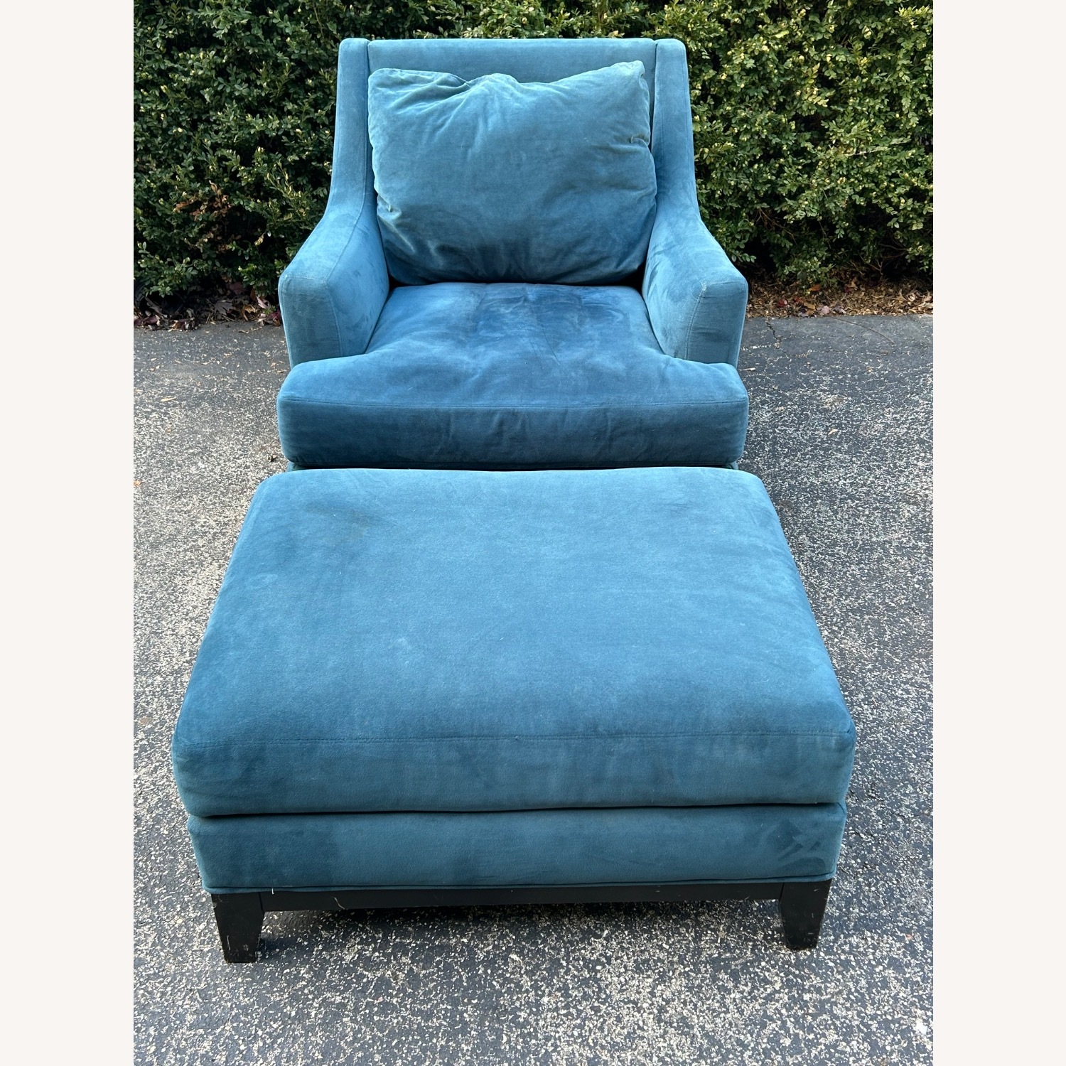 Johnathan Louis  Velvet Chair plus Ottoman - image-6