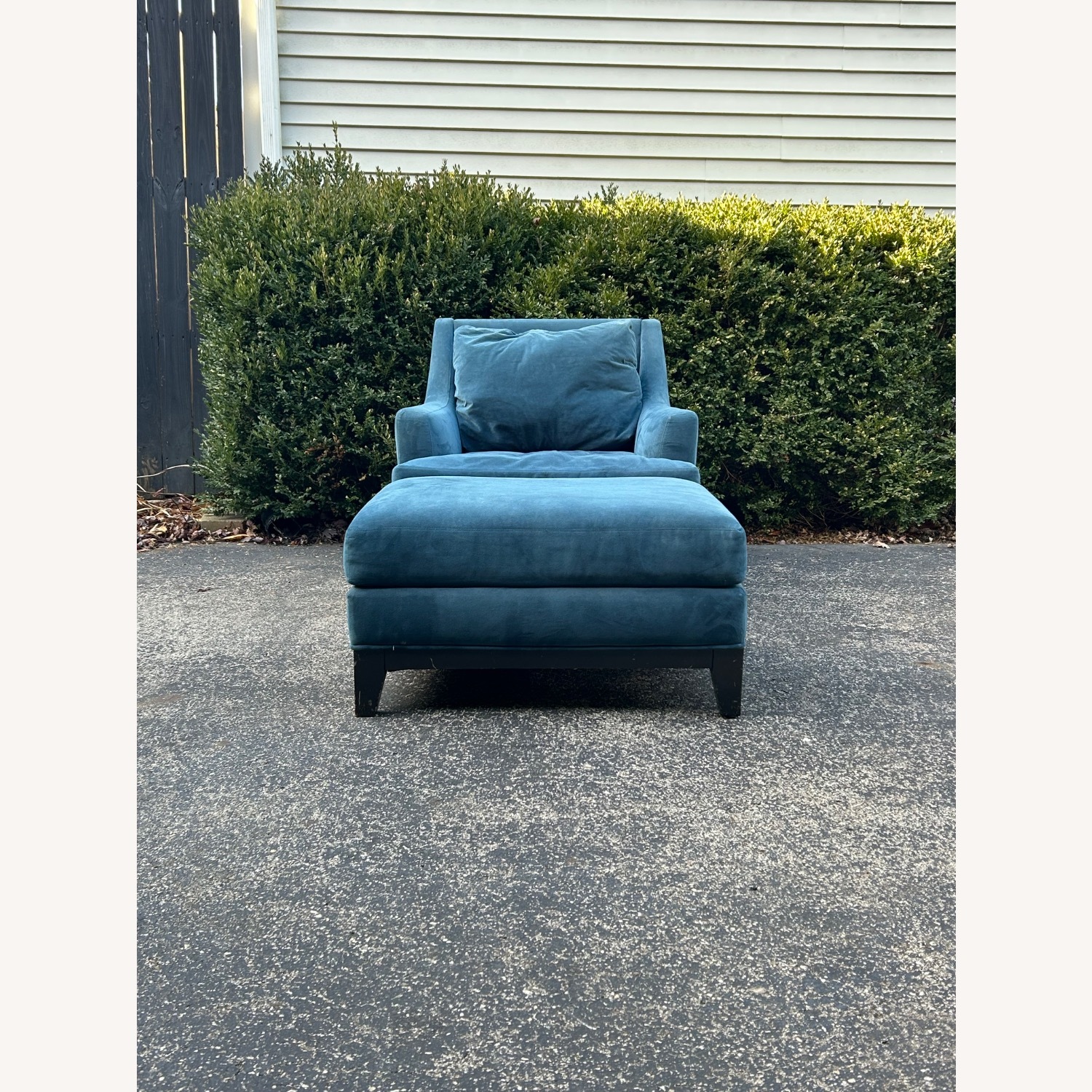 Johnathan Louis  Velvet Chair plus Ottoman - image-9