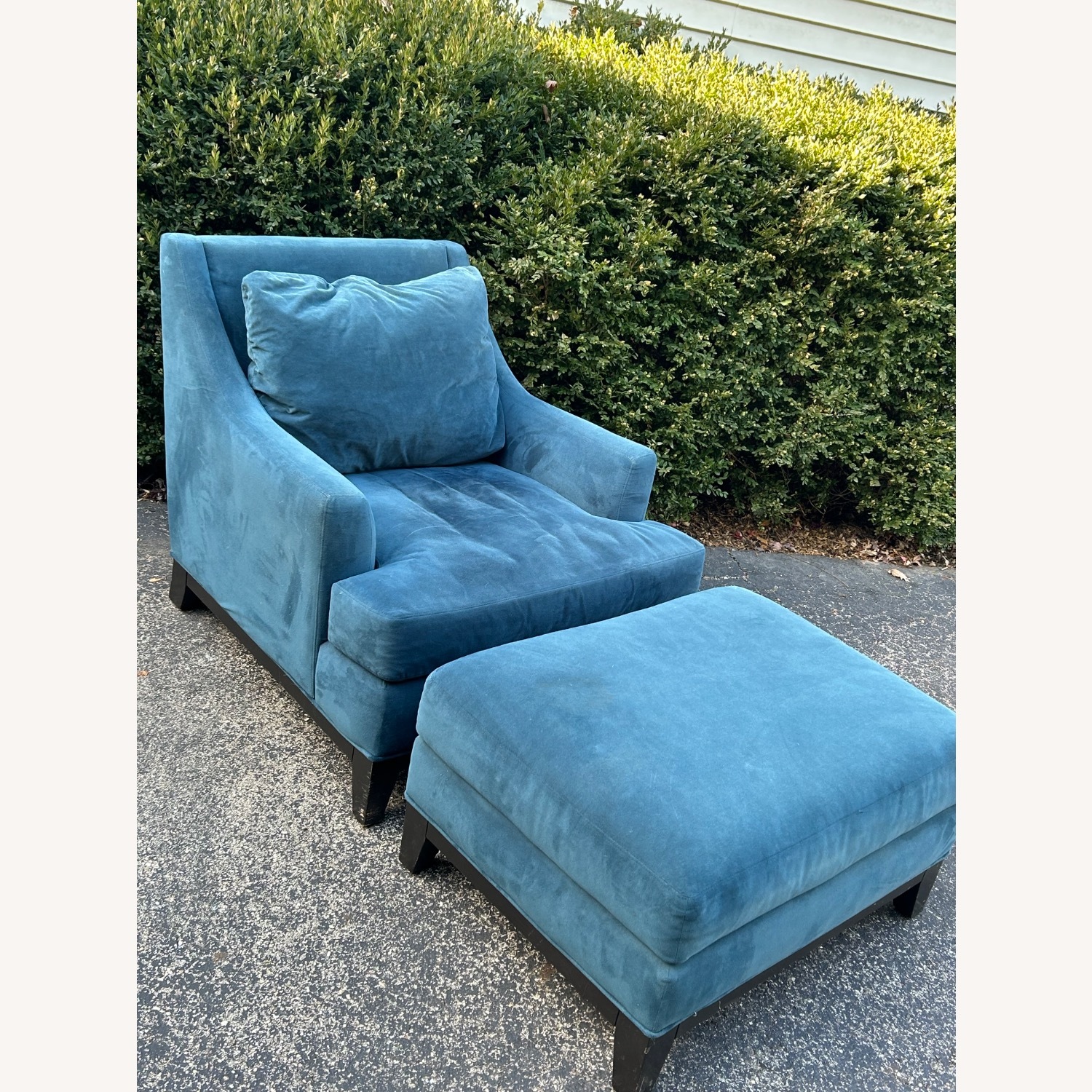 Johnathan Louis  Velvet Chair plus Ottoman - image-7