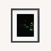 Love Echo Photograph with Matte + Frame