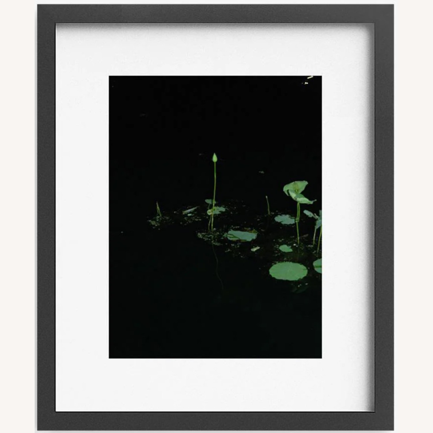 Love Echo Photograph with Matte + Frame - image-3