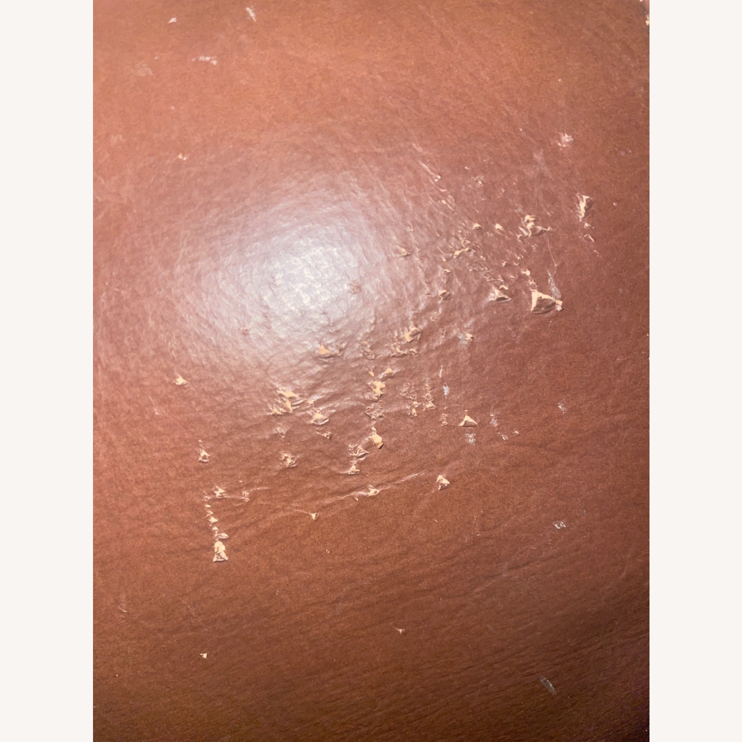 Stratford House Dark Brown Leather 2 Piece Sectional - image-4