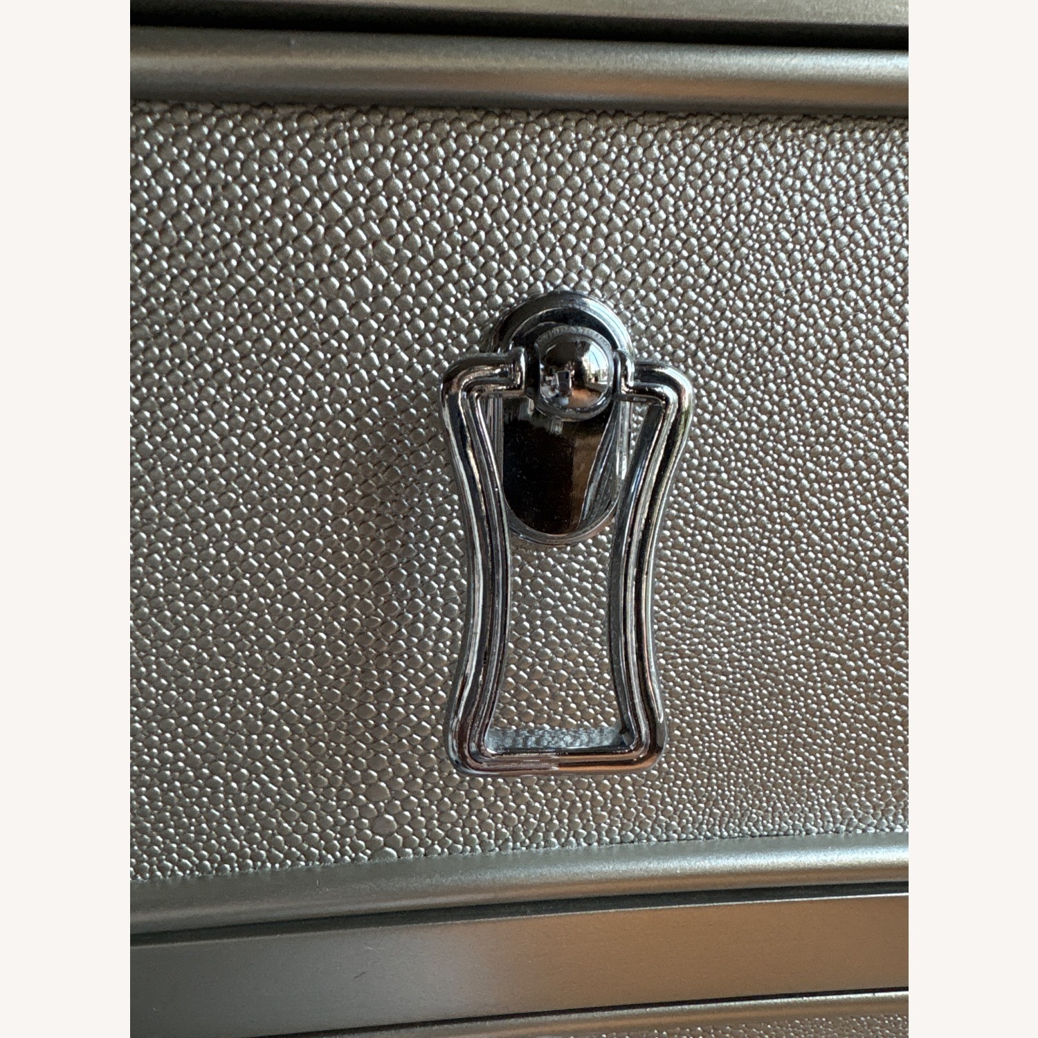 Wayfair Champagne Silver Shagreen Accent Chest - image-4