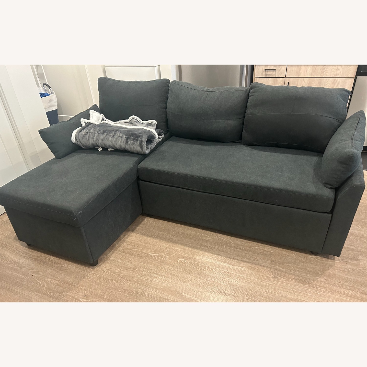 Wayfair Sleeper Sofa - image-1