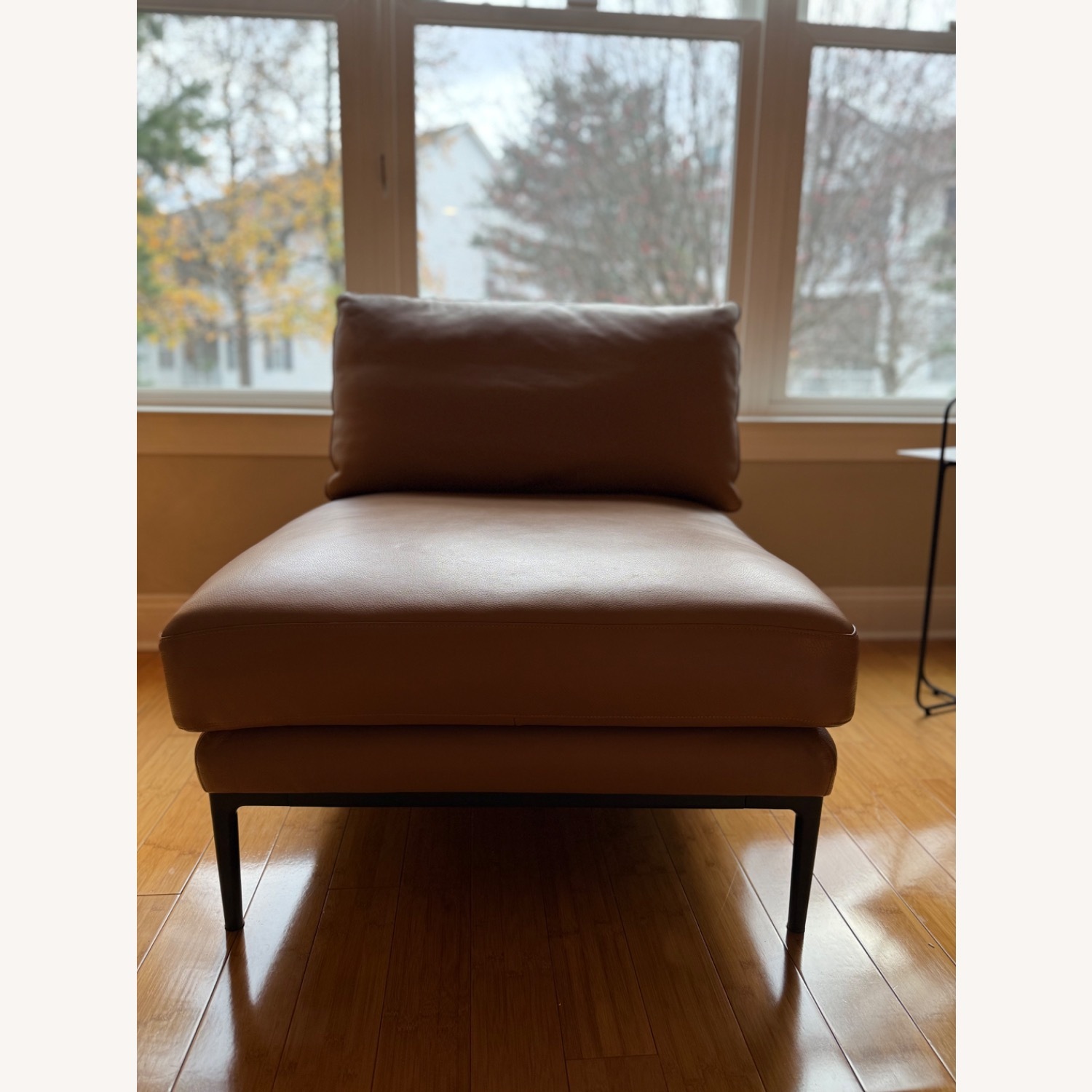 EQ3 Light Brown Leather Accent Chairs - image-2