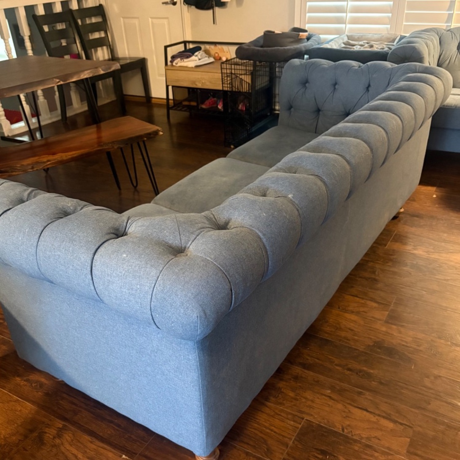 World Market Blue Sofa - image-2