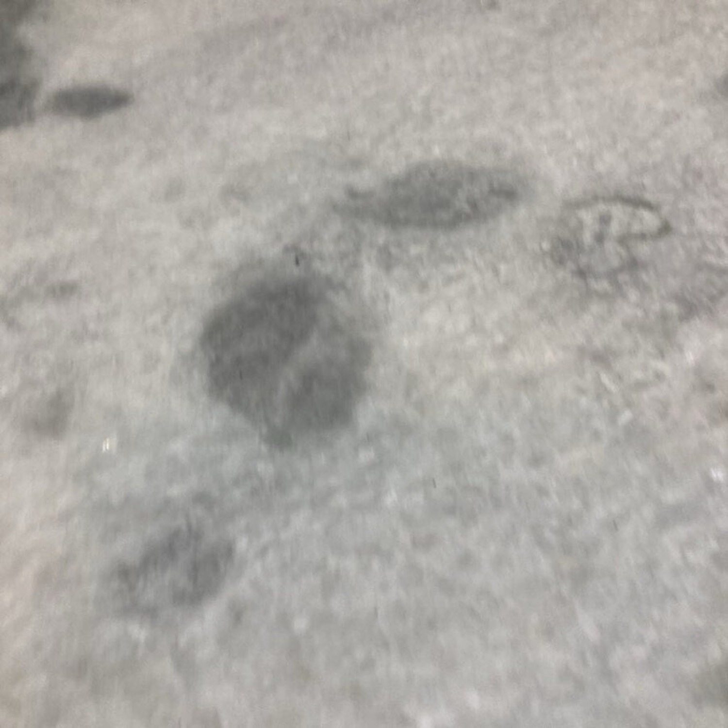 The Citizenry San Pedro Handcrafted Woven Bench - image-9