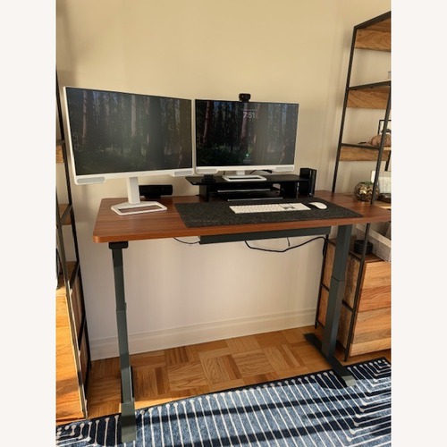 Used Adjustable Branch Standing Desk for sale on AptDeco