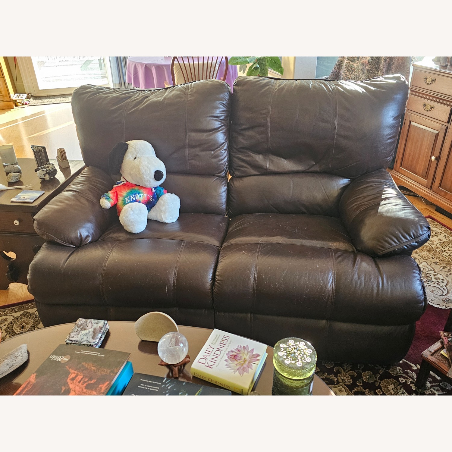 Dark Brown Leather Loveseat - image-3